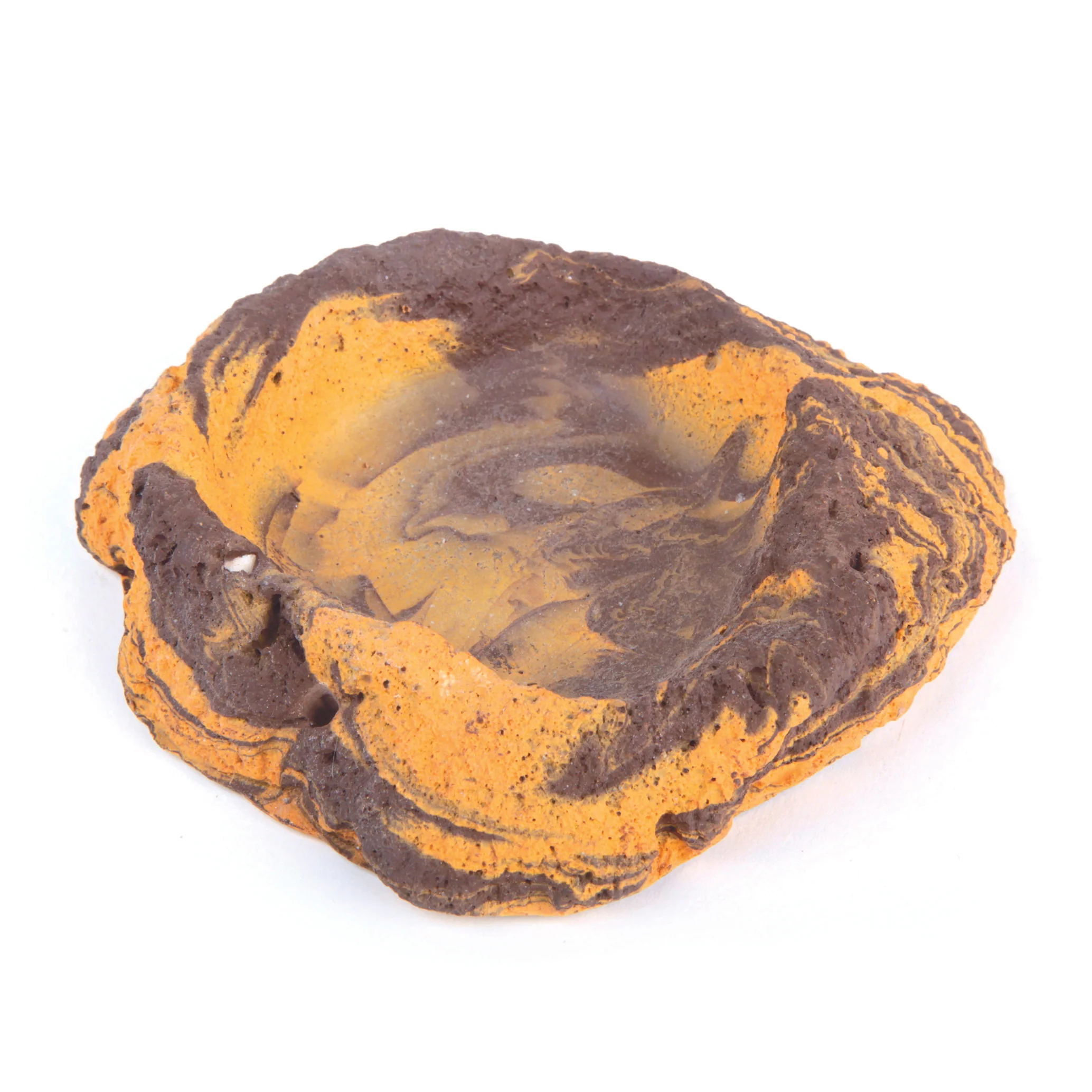 Reptile Clay Dish
