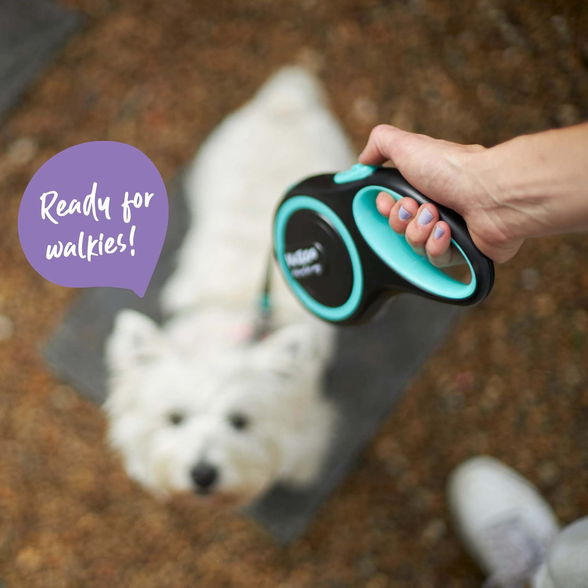 Retractable Dog Lead - 5 metre - up to 50kg - Image 4
