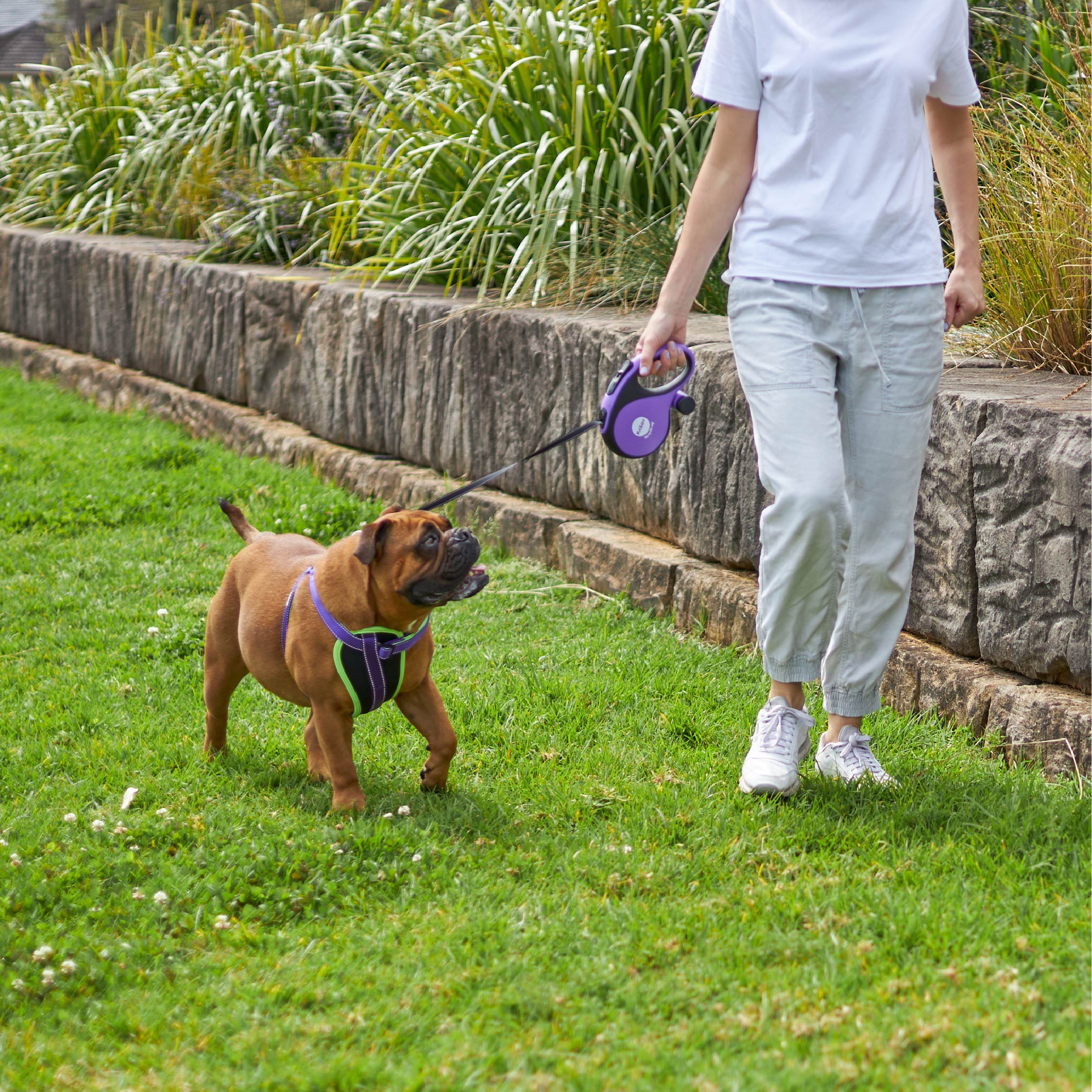 Retractable Dog Lead w/ Poop Bag Dispenser - 8 metre - up to 50kg - Image 2