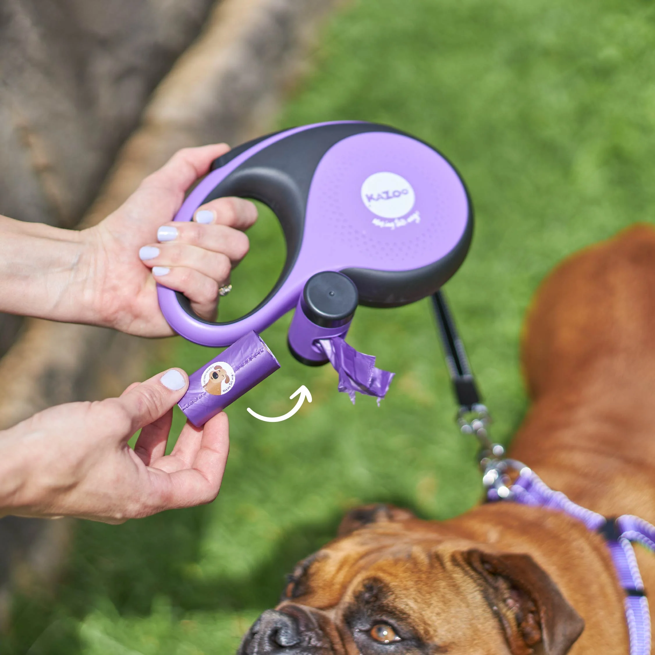 Retractable Dog Lead w/ Poop Bag Dispenser - 8 metre - up to 50kg - Image 3