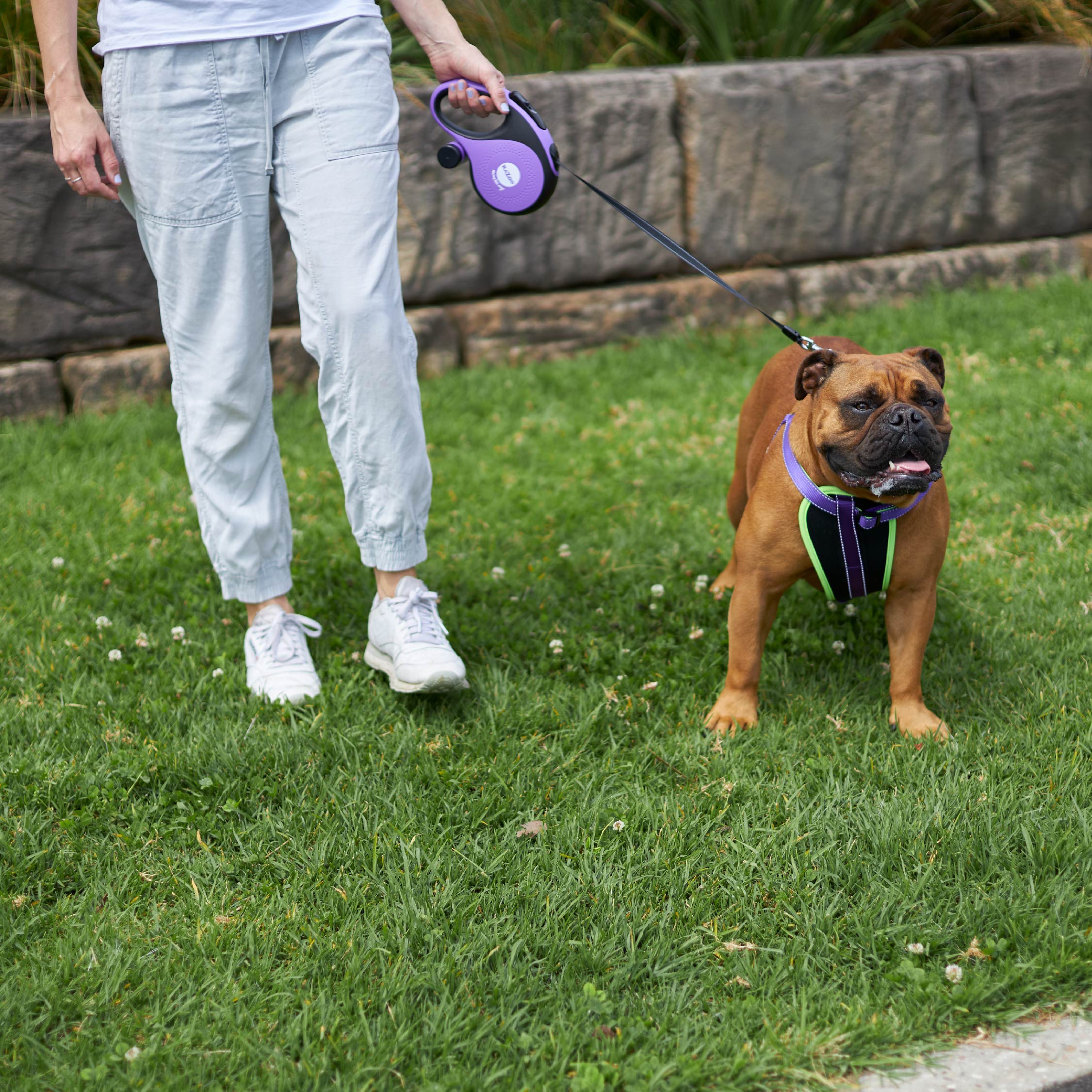 Retractable Dog Lead w/ Poop Bag Dispenser - 8 metre - up to 50kg - Image 4