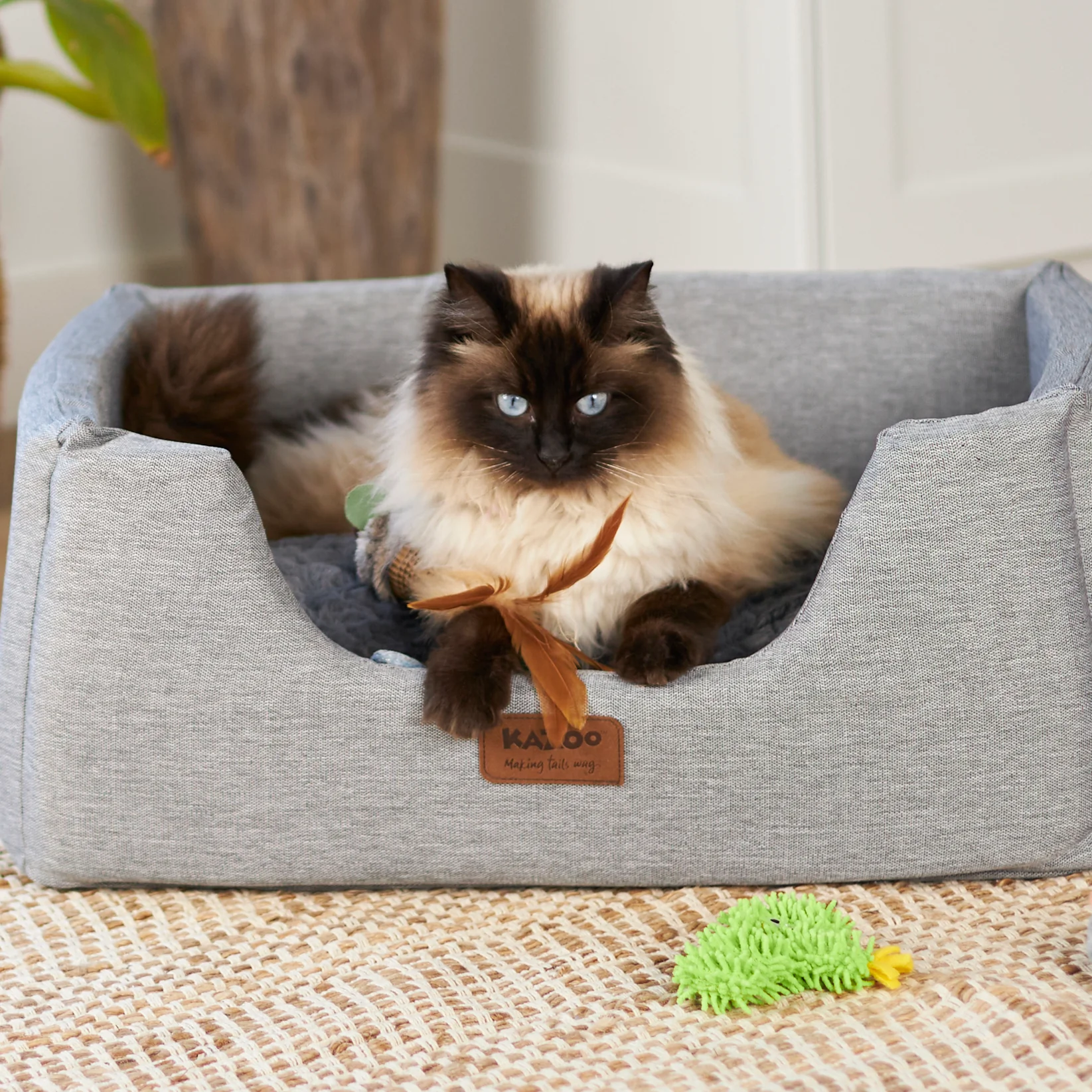 Scruffy Cactus with replacement catnip & silvervine - Image 3