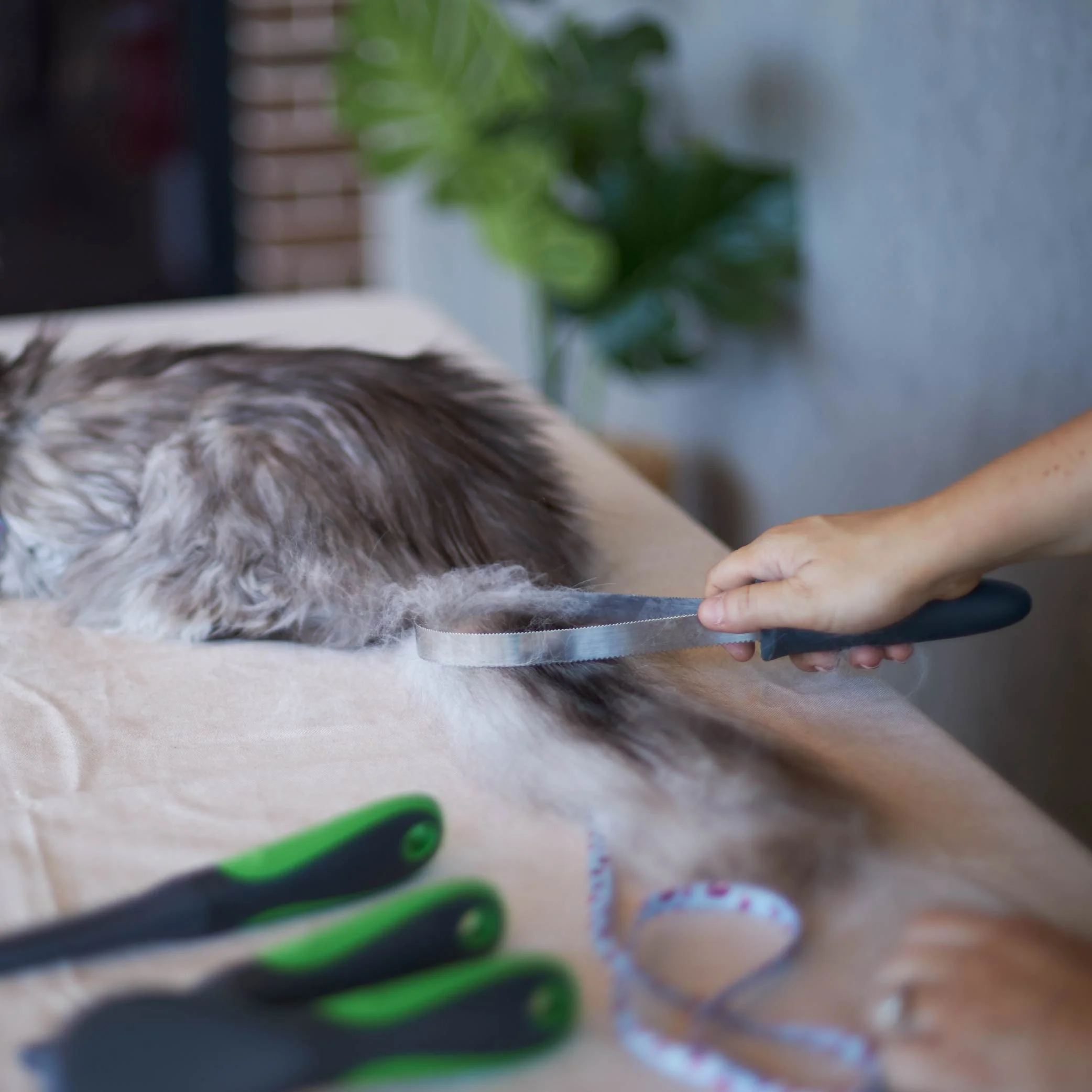 Shedding Tool - Image 11