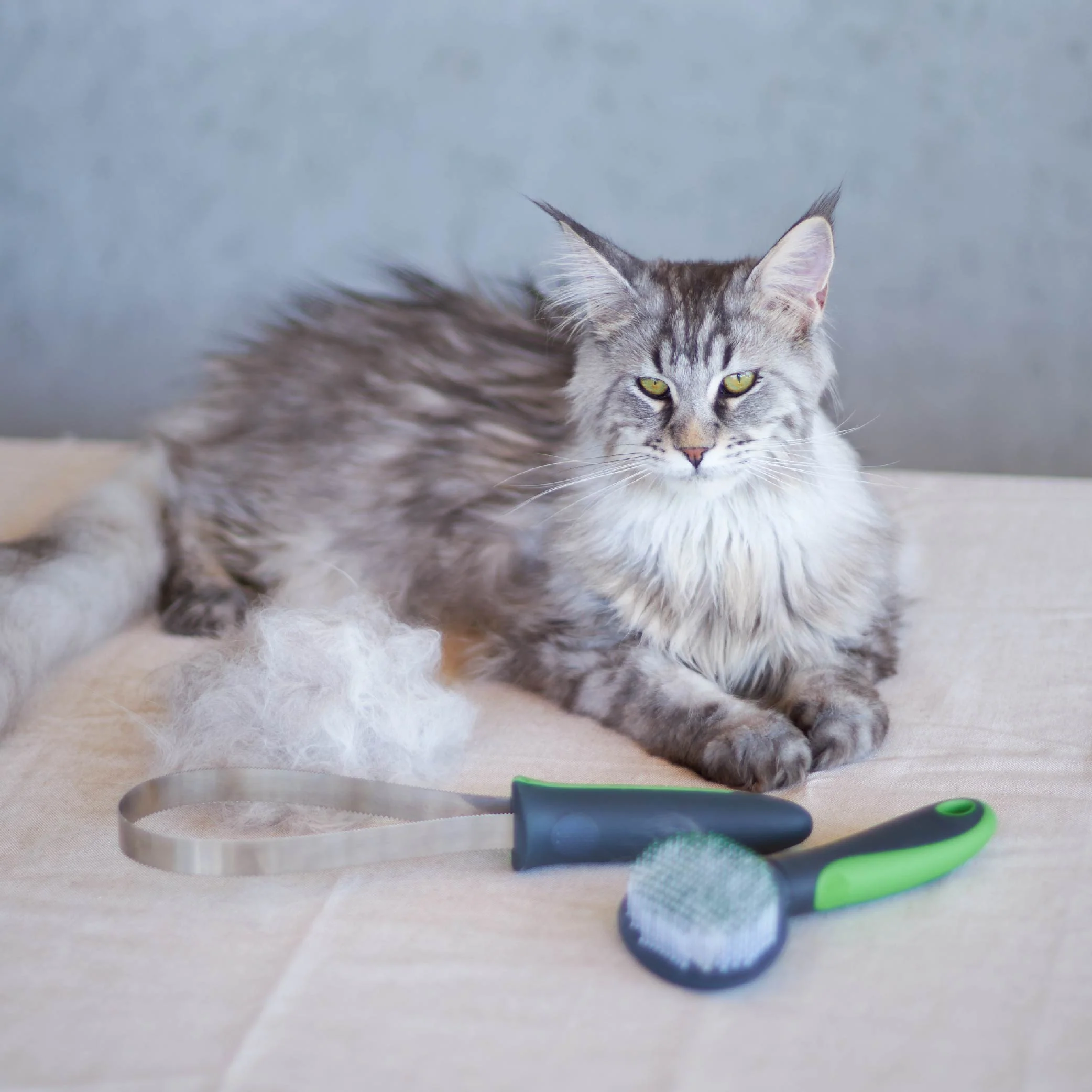 Shedding Tool - Image 15