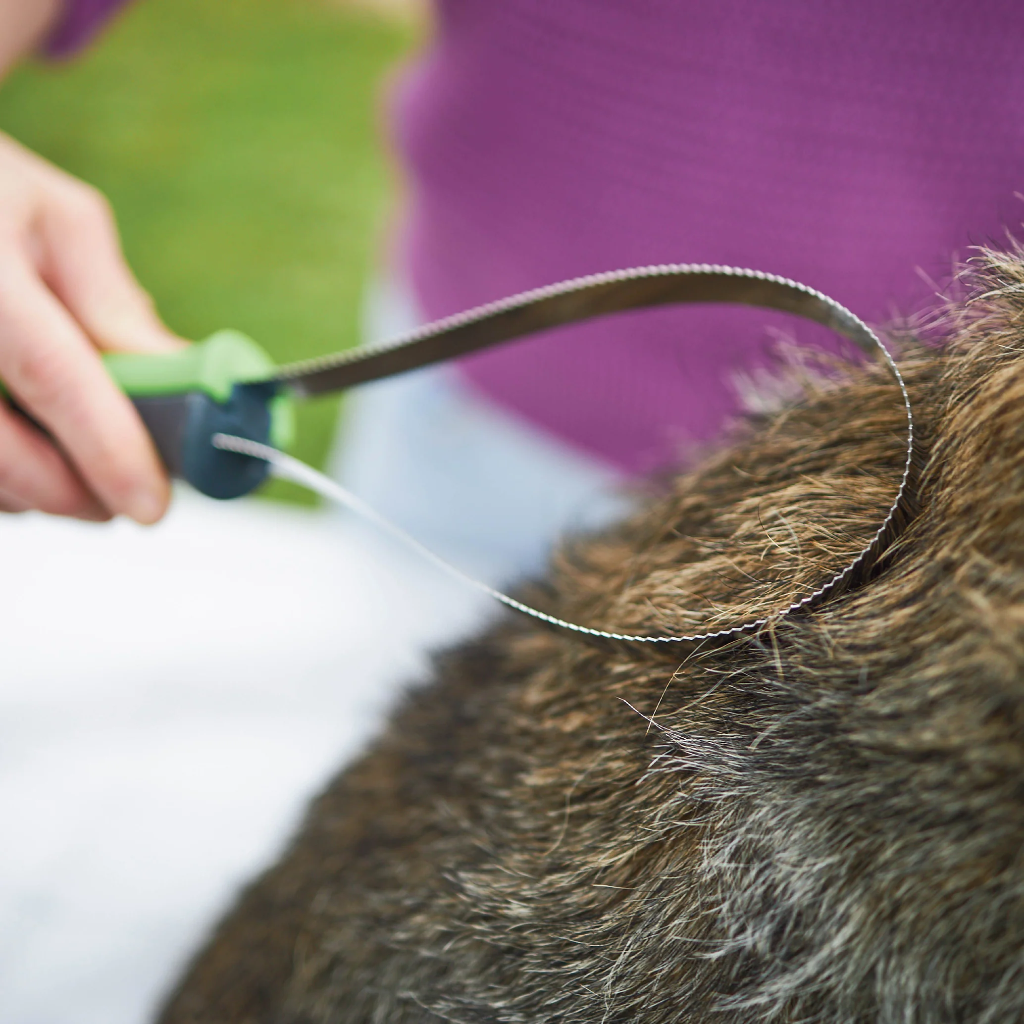 Shedding Tool - Image 6