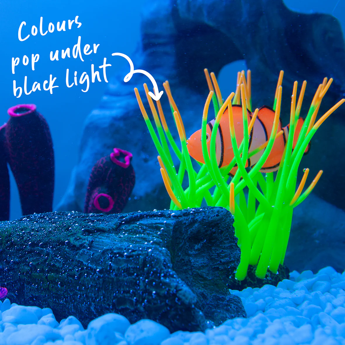 Bubbling Sea Anemone Fish Ornament - Image 2