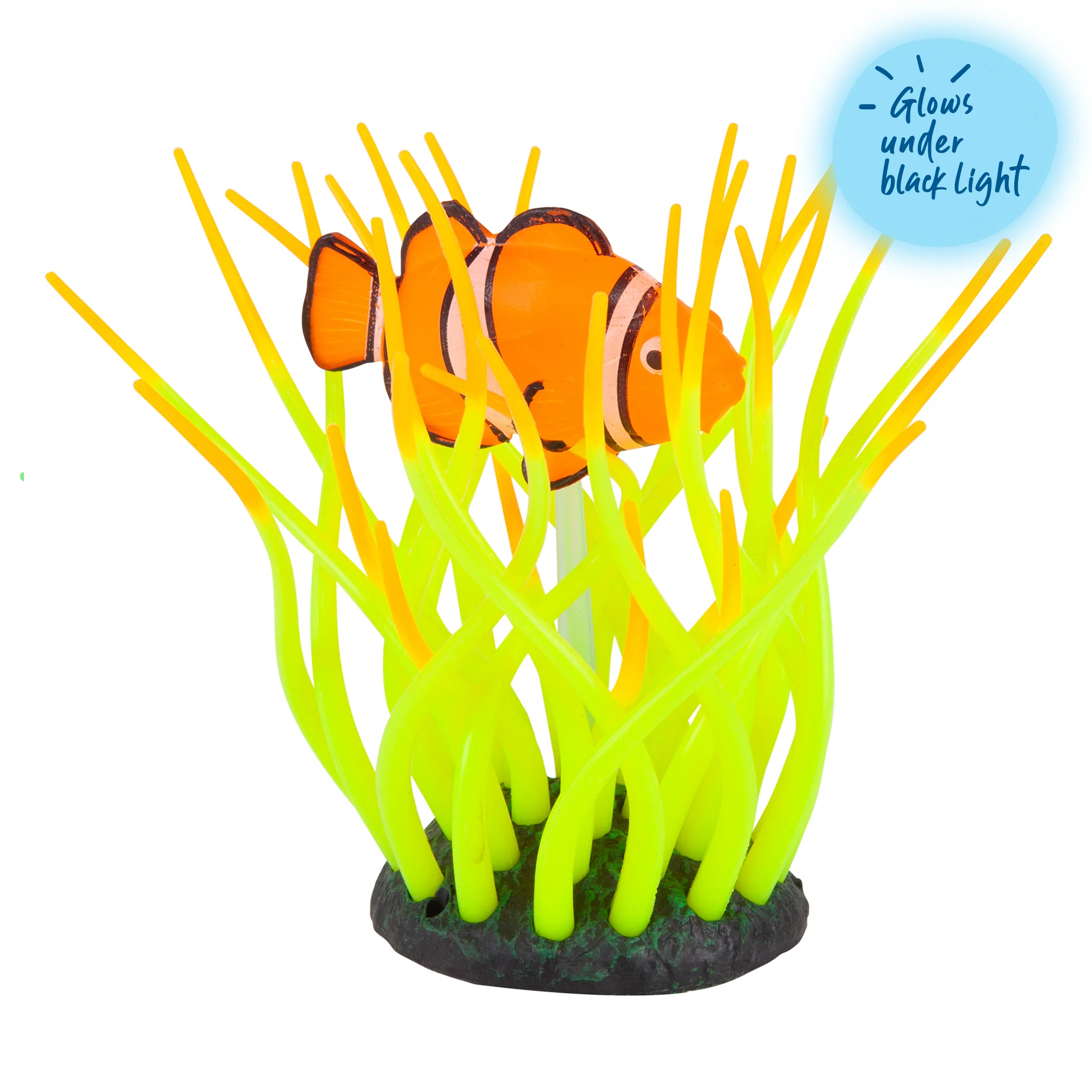 Bubbling Sea Anemone Fish Ornament - Image 5