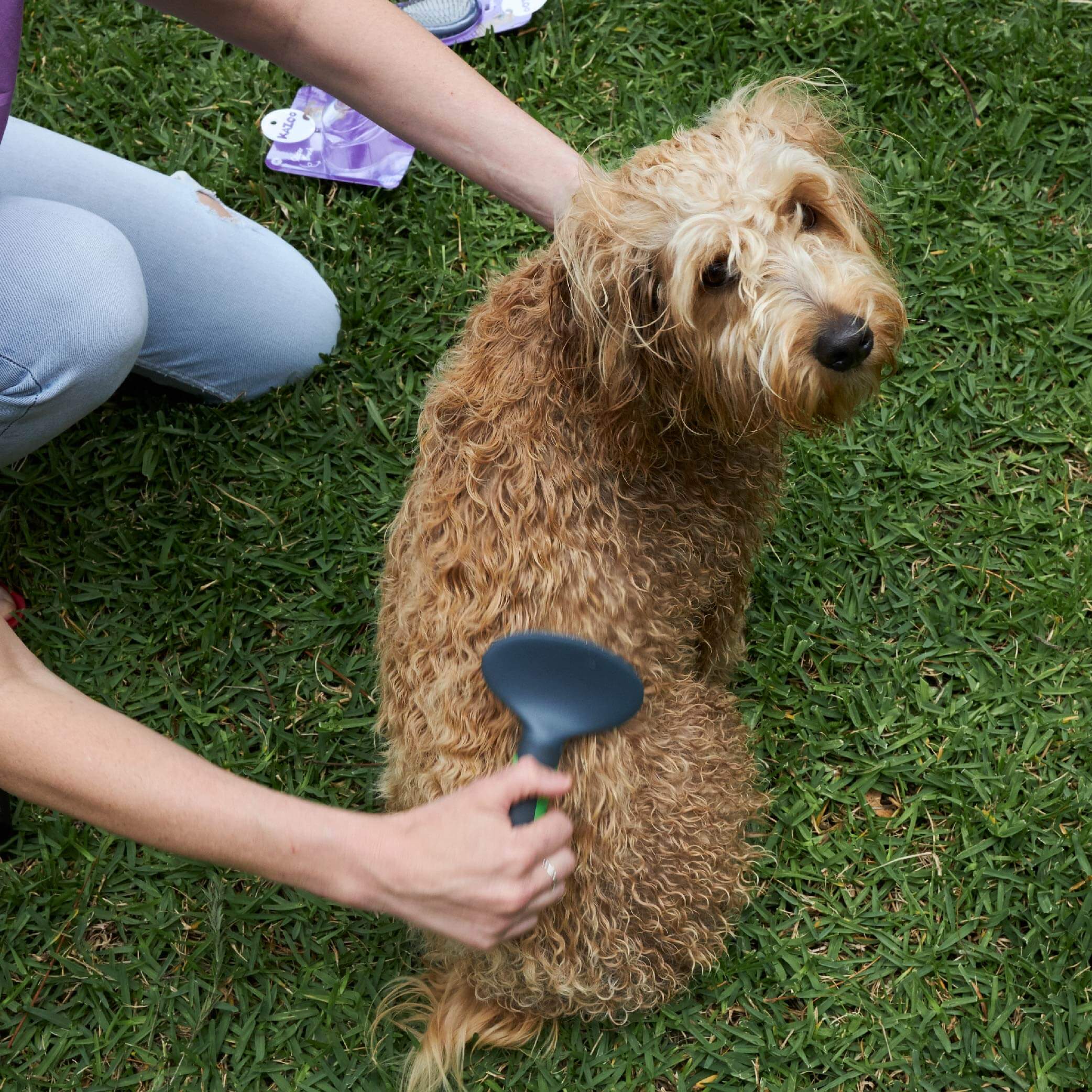Slicker Brush - Image 5