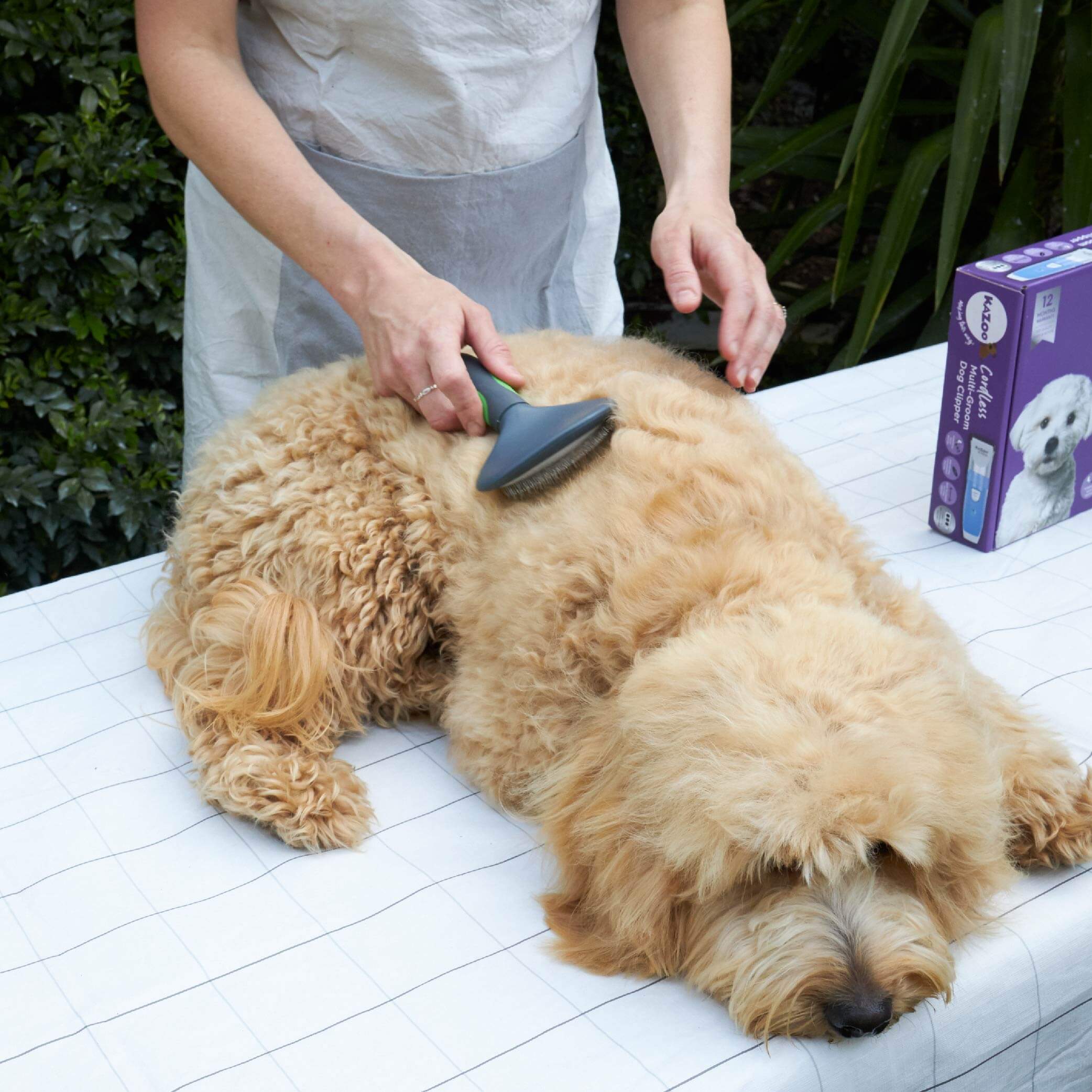 Slicker Brush - Image 6