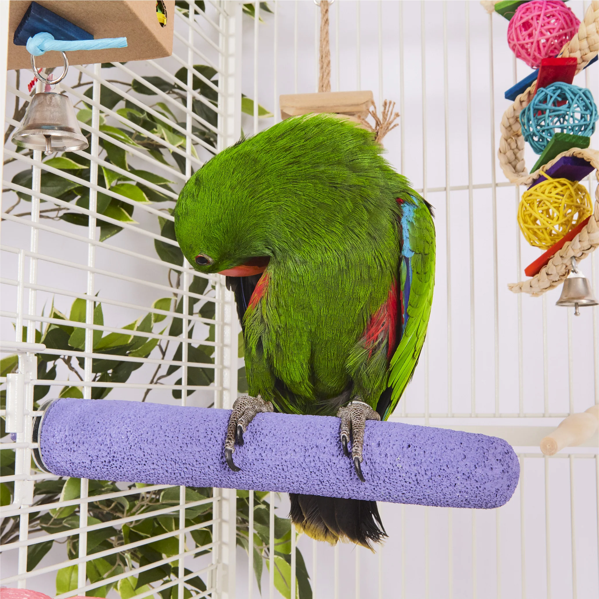 Snake Wicker Ball & Bell Bird Toy - Image 4
