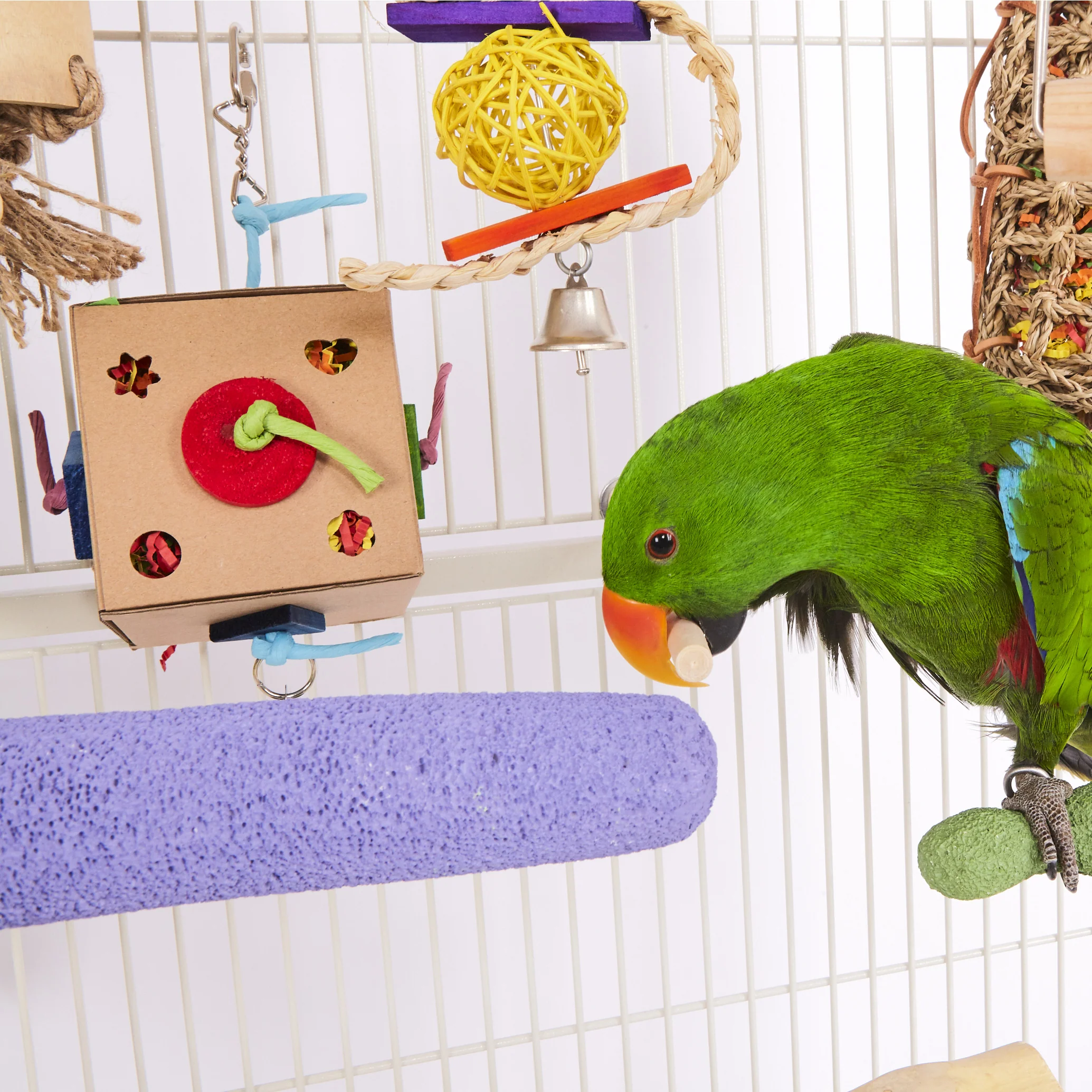 Snake Wicker Ball & Bell Bird Toy - Image 6