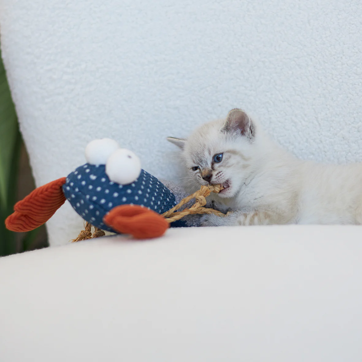 Snappy Lobster with catnip and straw - Image 4