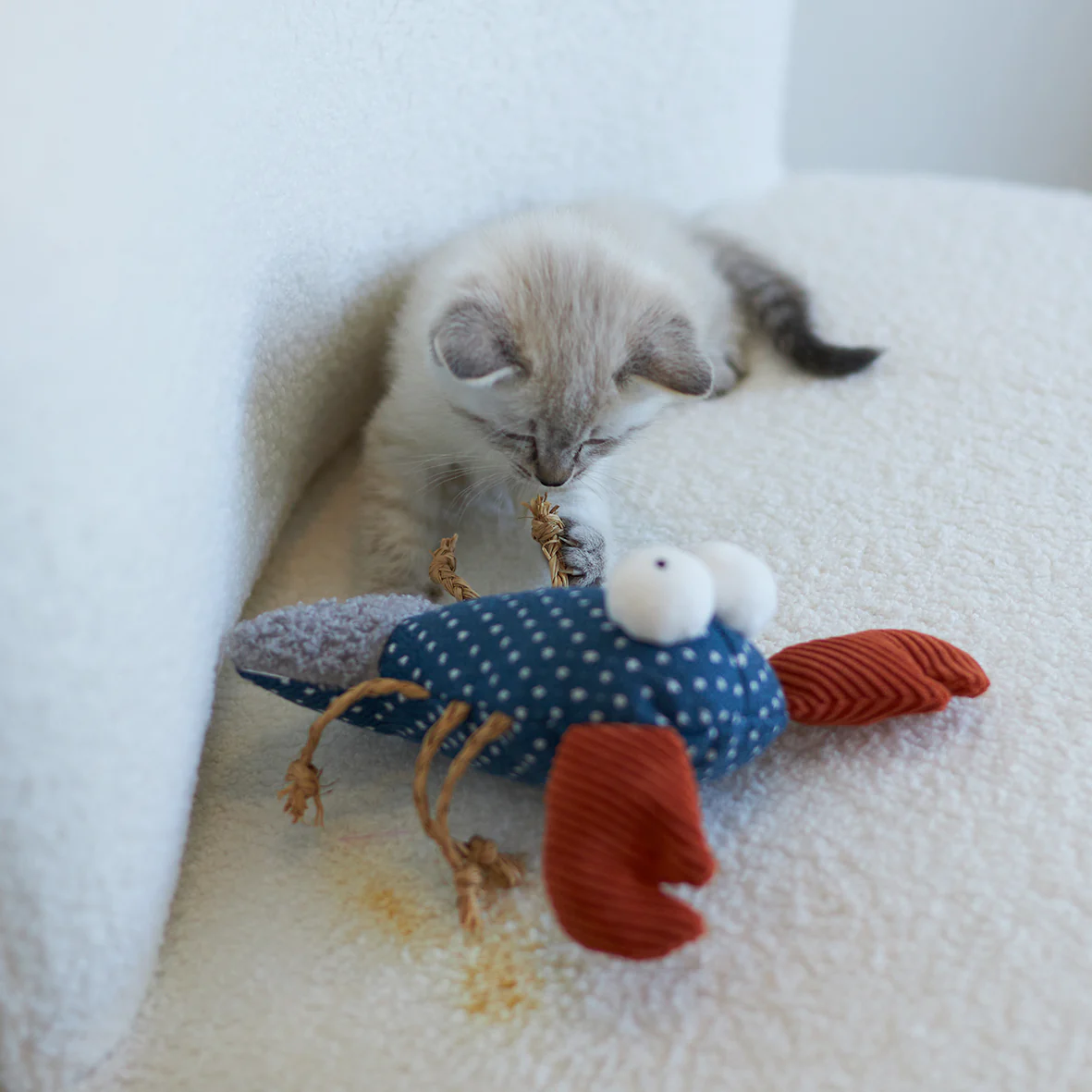 Snappy Lobster with catnip and straw - Image 5