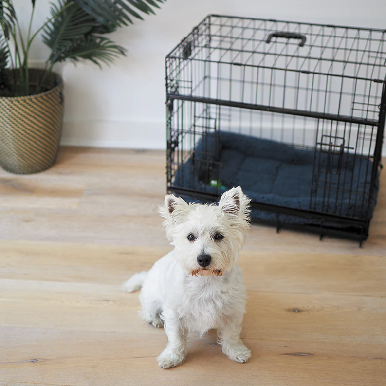 Soft Dog Crate Cushion - Image 11