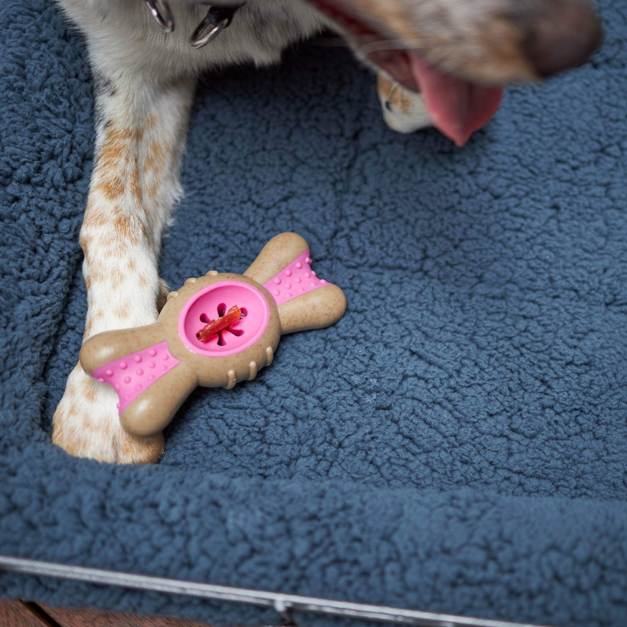 Soft Dog Crate Cushion - Image 5