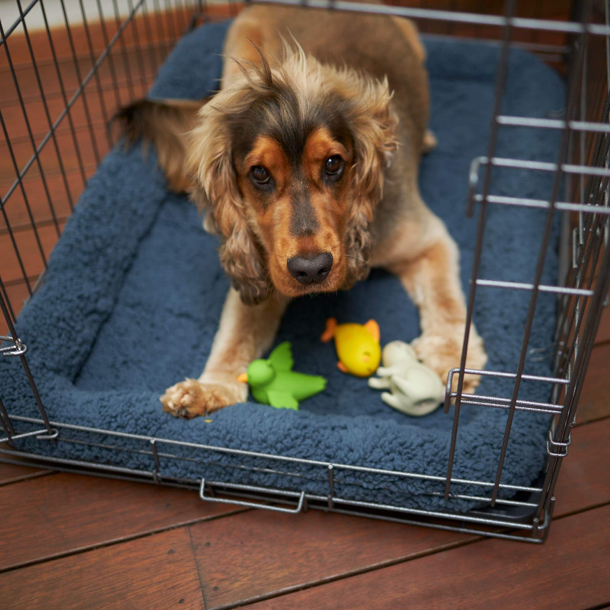 Soft Dog Crate Cushion - Image 9