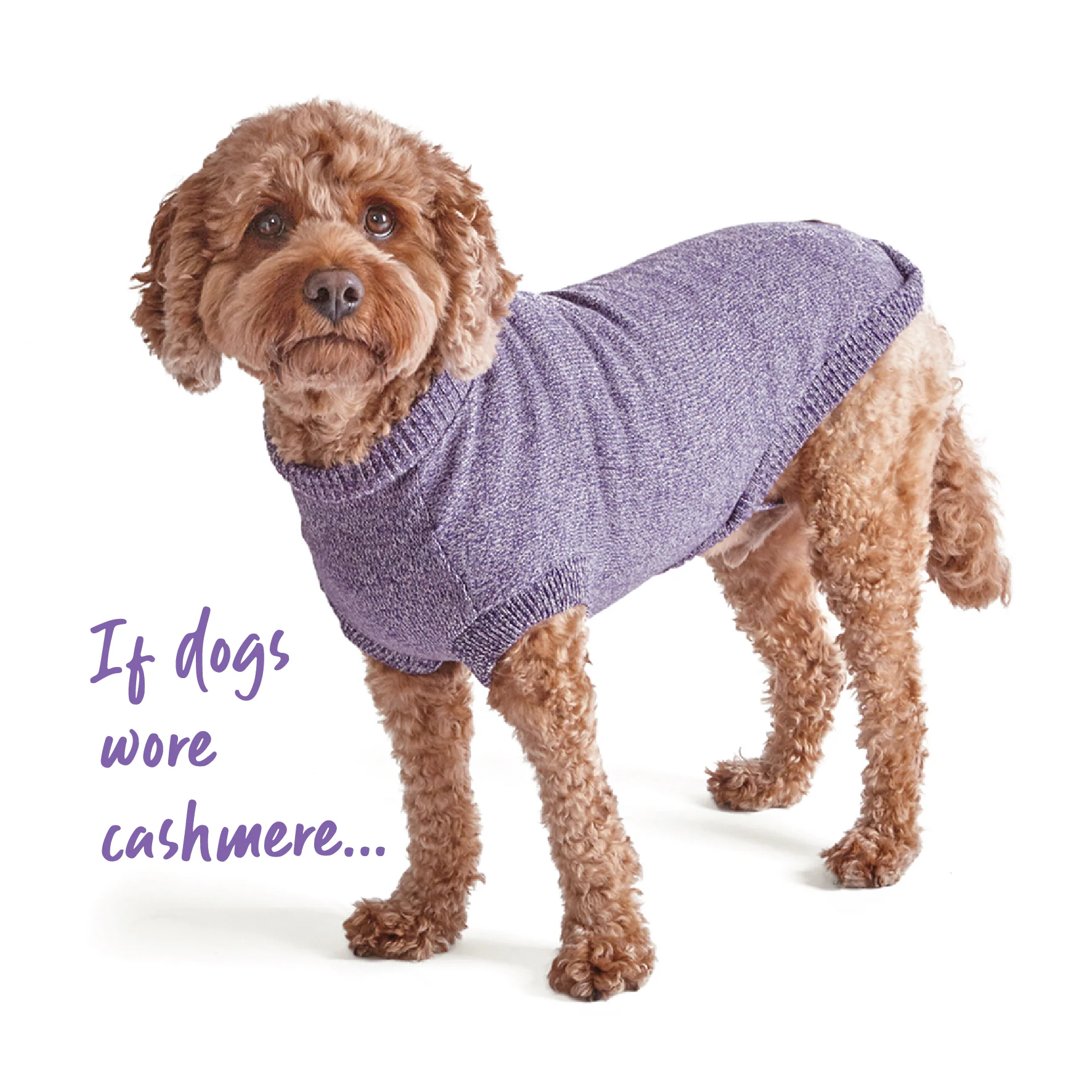 Soft Knit Dog Jumper - Lilac - Image 3