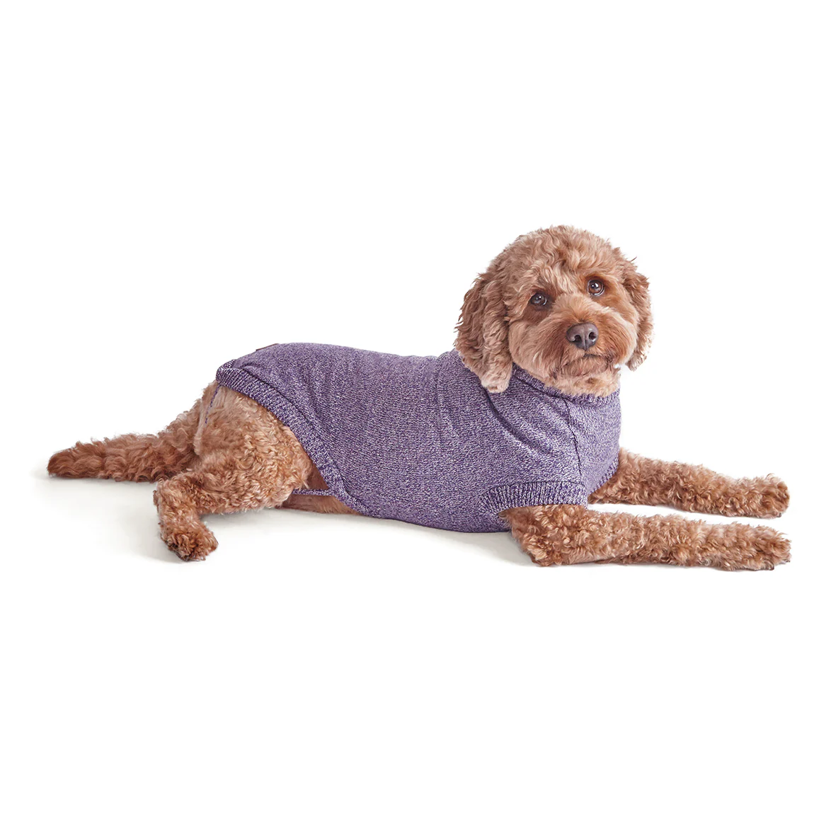 Soft Knit Dog Jumper - Lilac - Image 5