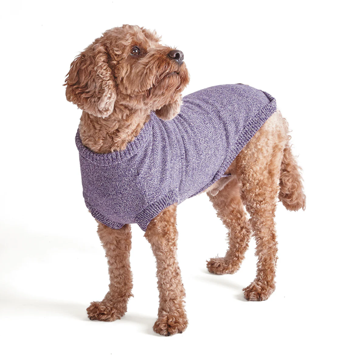 Soft Knit Dog Jumper - Lilac - Image 7