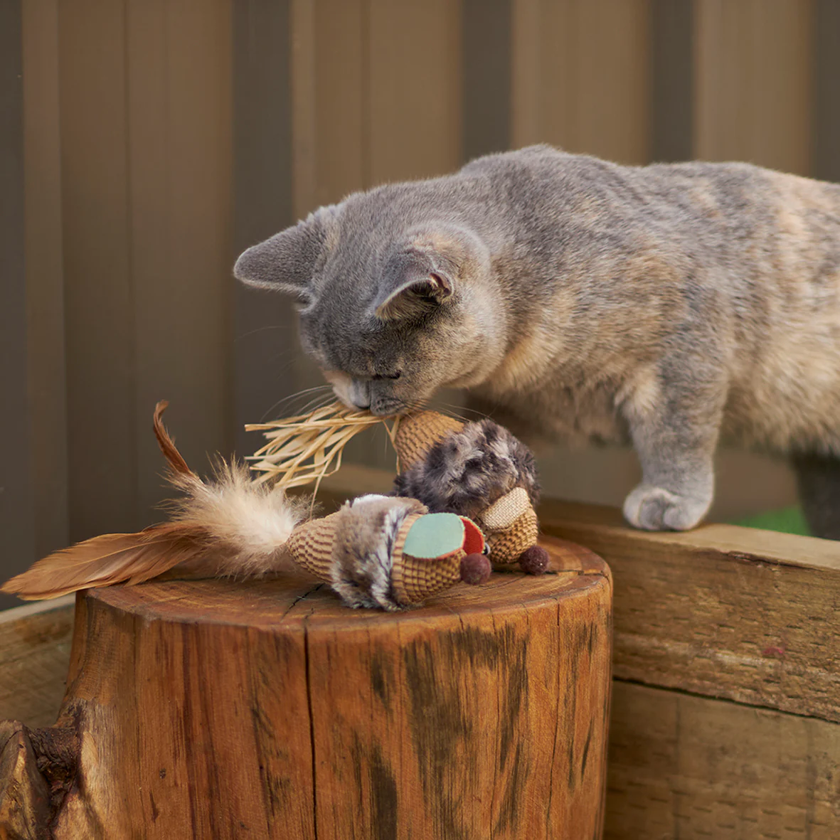 Sneaky Mouse with cardboard and straw - Image 10