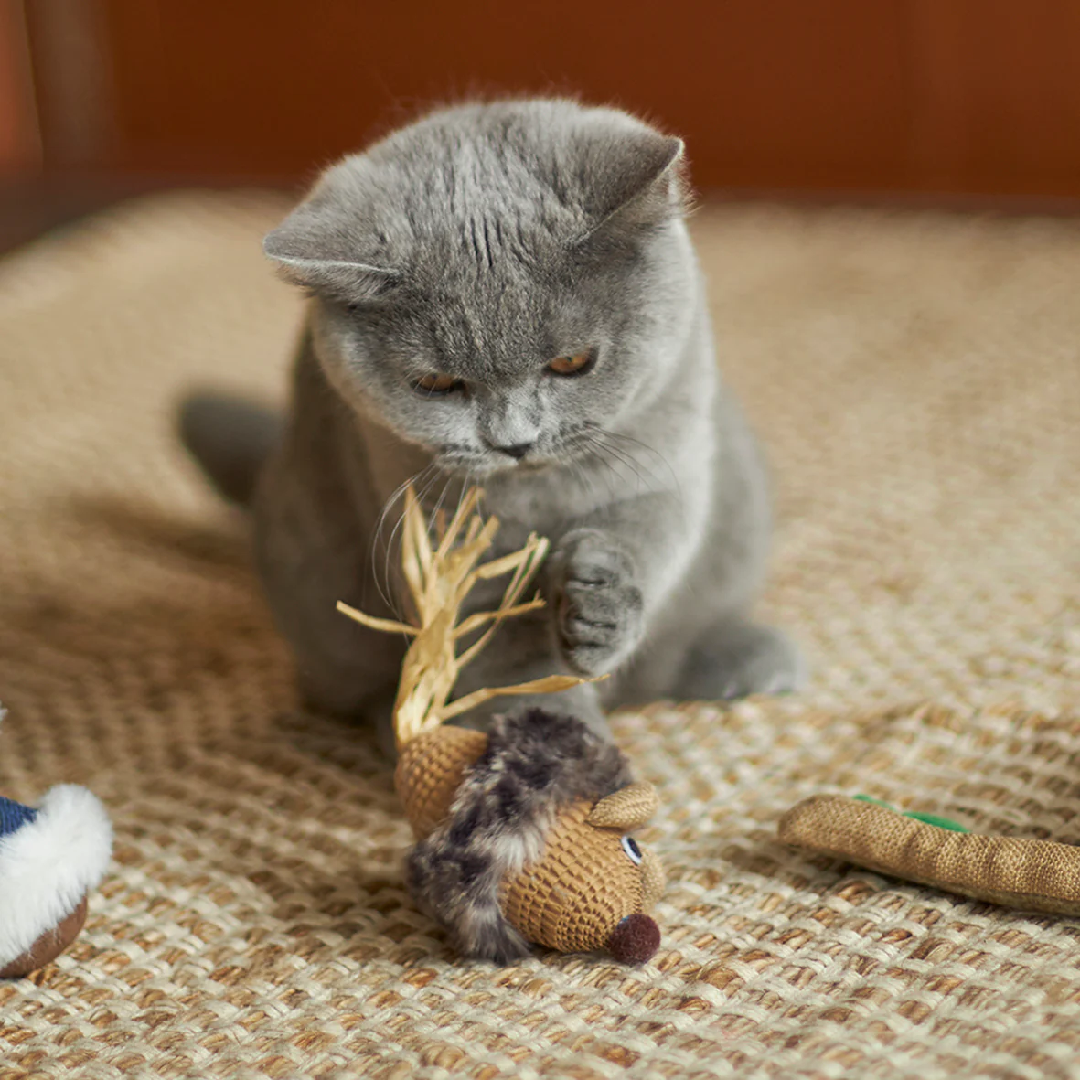 Sneaky Mouse with cardboard and straw - Image 2