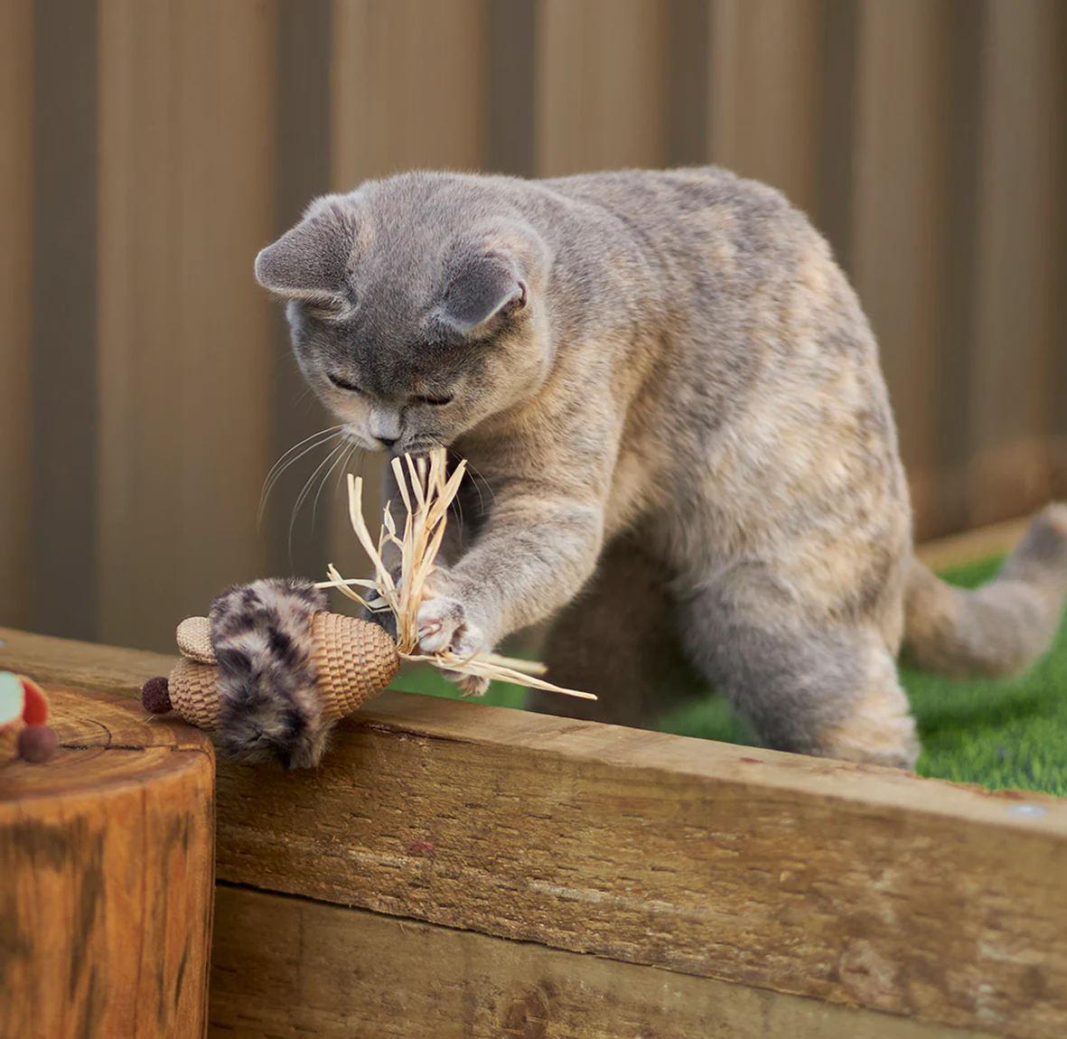 Sneaky Mouse with cardboard and straw - Image 8