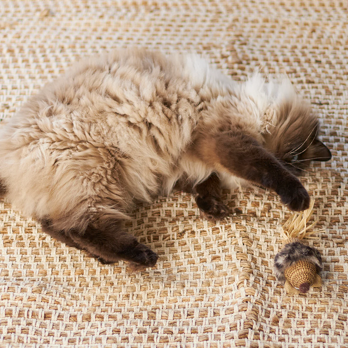 Sneaky Mouse with cardboard and straw - Image 9