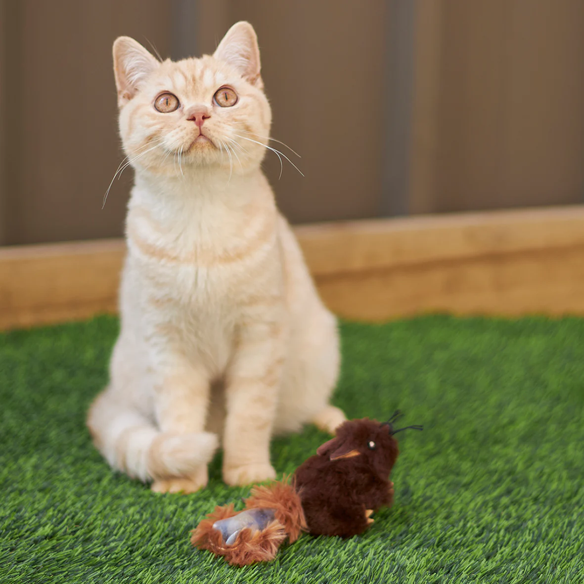 Squishy Squirrel with catnip - Image 2