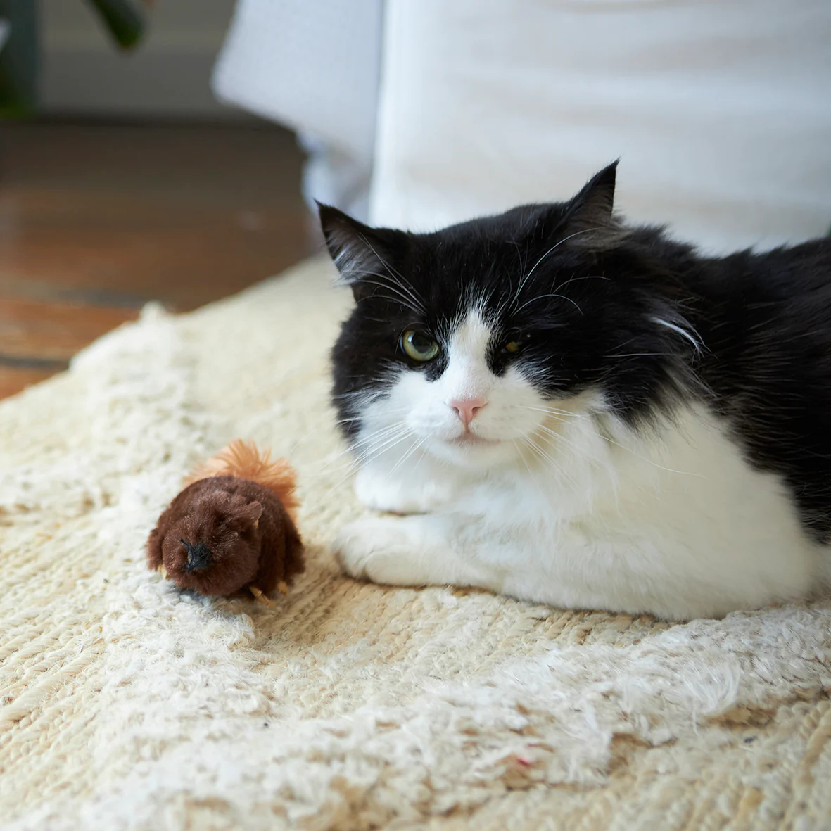 Squishy Squirrel with catnip - Image 4