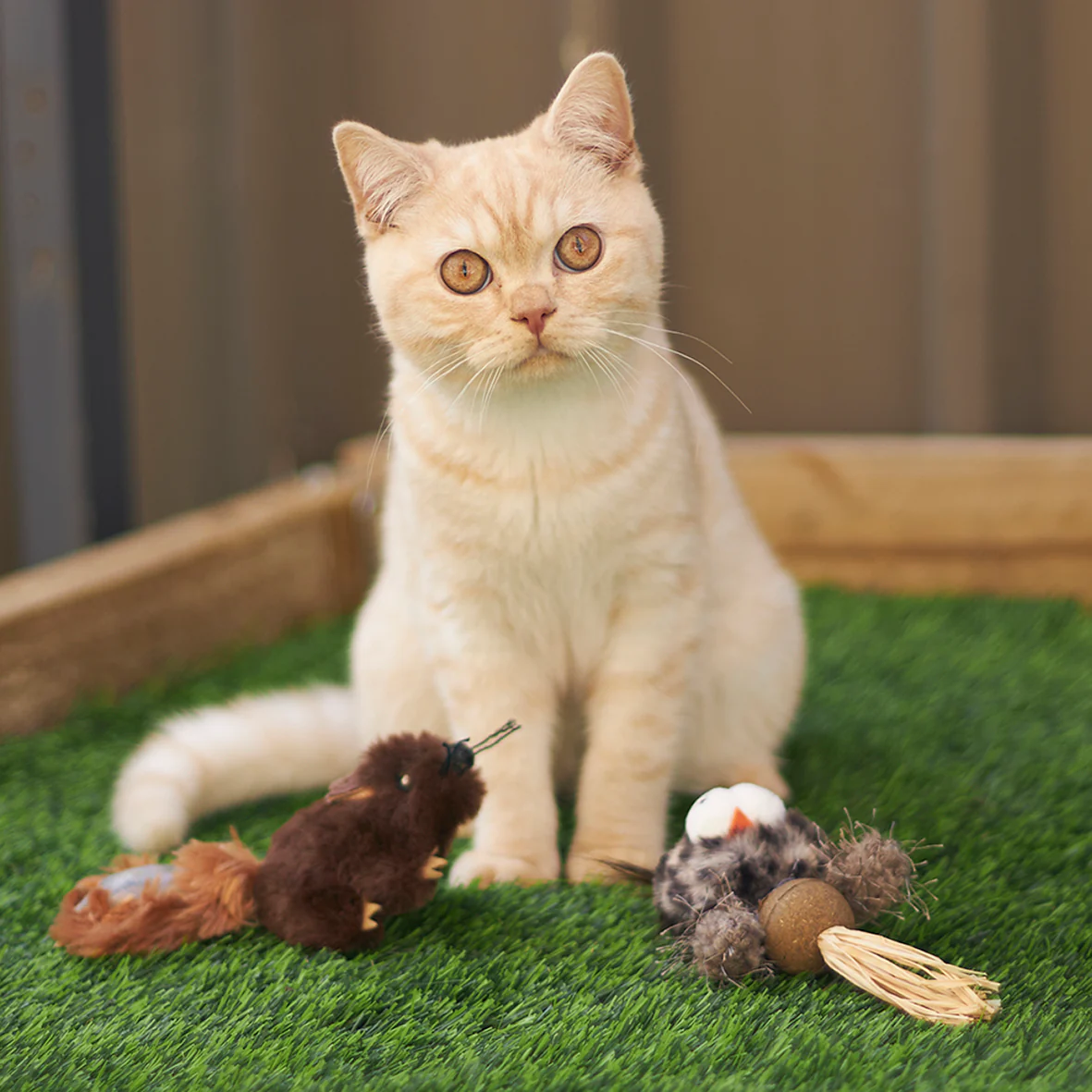 Squishy Squirrel with catnip - Image 5
