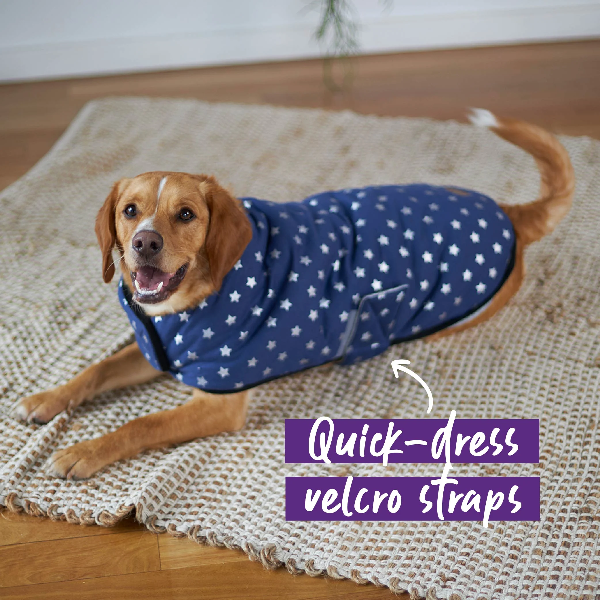 Starbright Dog Snuggie - Image 4