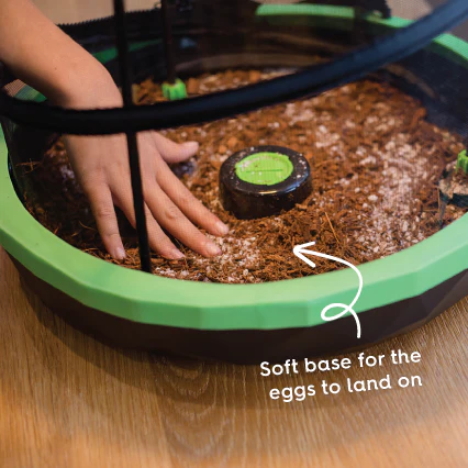 Stick Insect Enclosure Substrate - Image 2