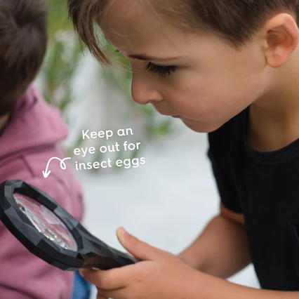Stick Insect Inspector Magnifying Glass - Image 3