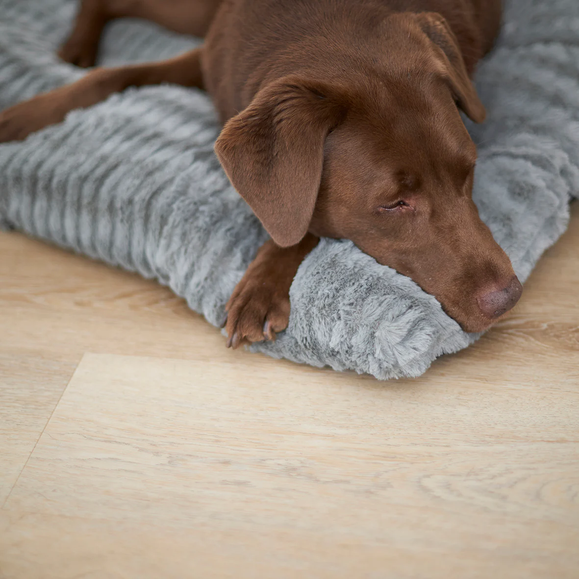 Storm Dog Pillow Bed - Grey - Image 3