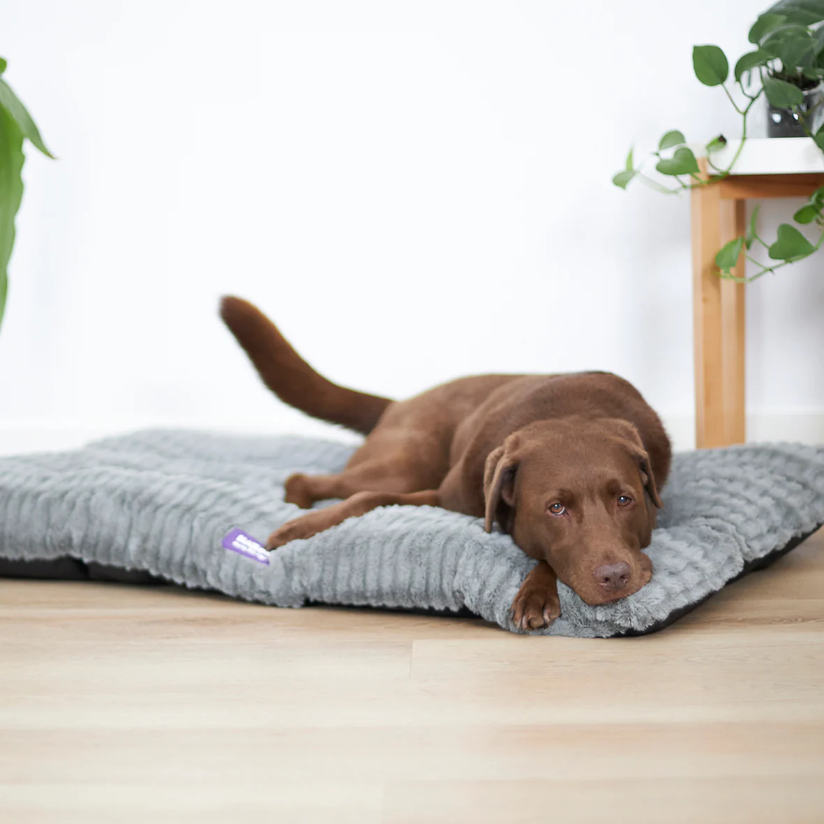 Storm Dog Pillow Bed - Grey - Image 5