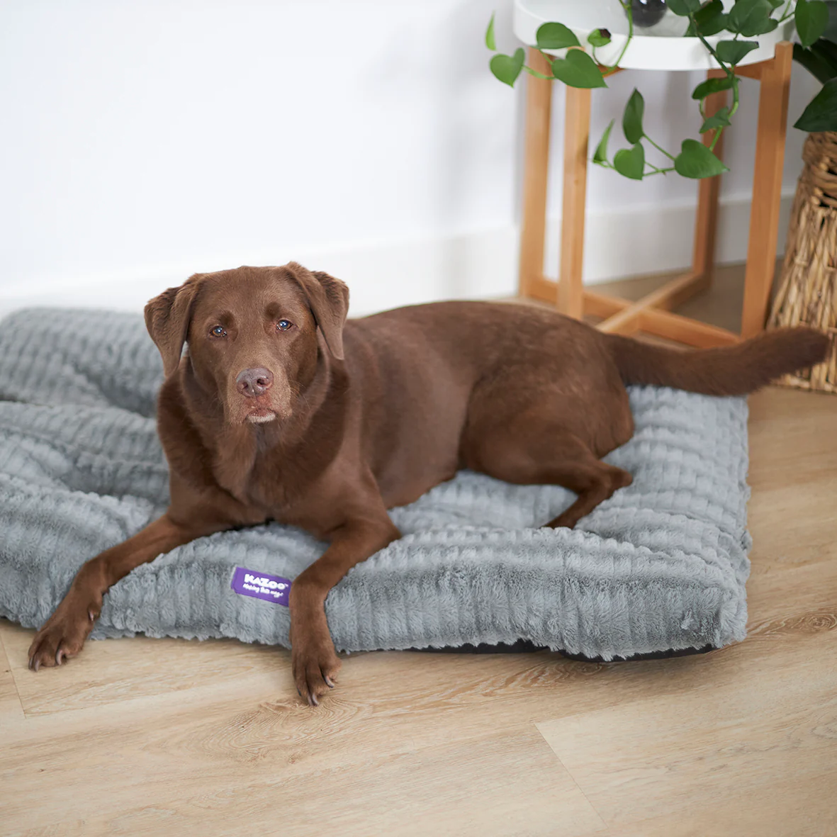 Storm Dog Pillow Bed - Grey - Image 7
