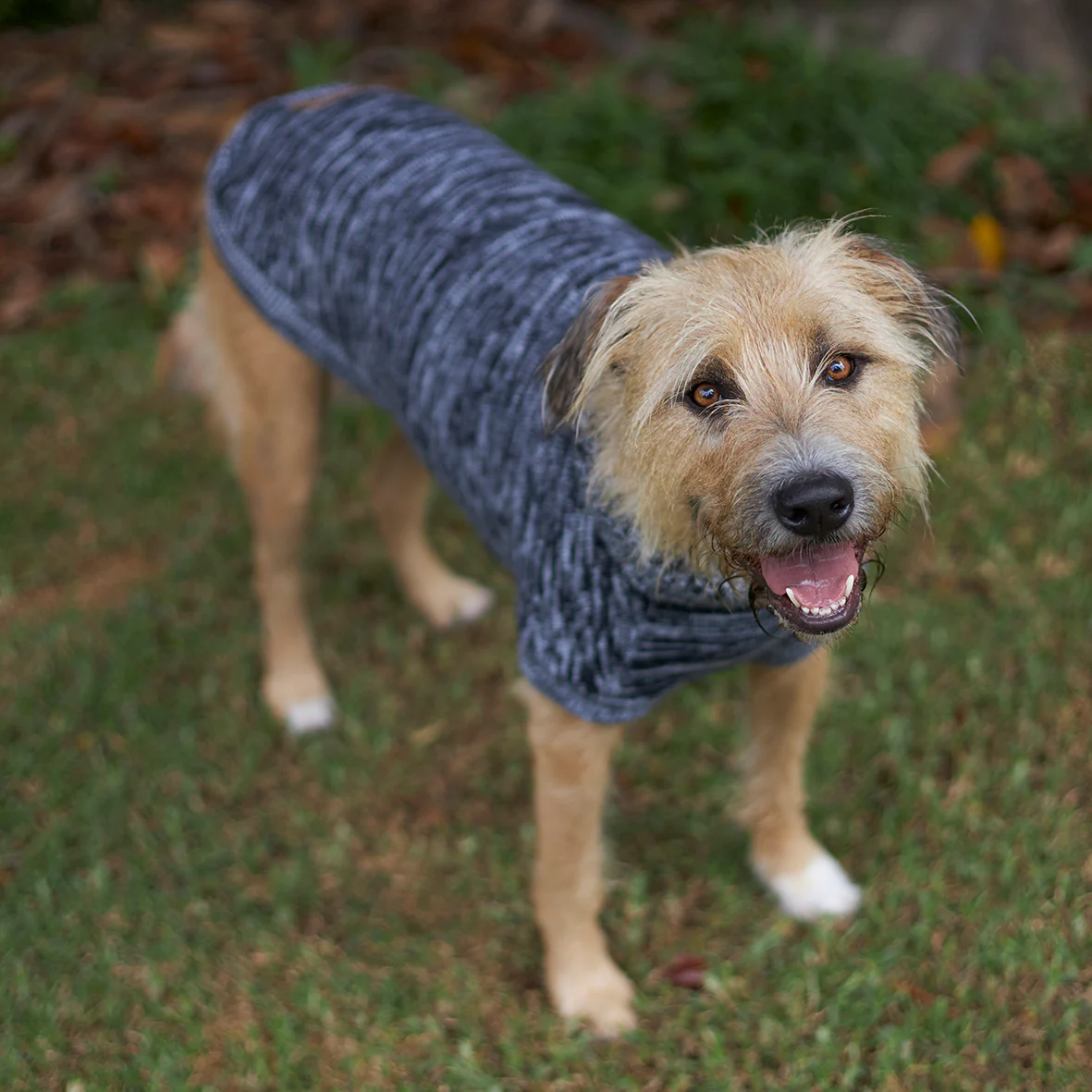 Stormy Skies Roll Neck Dog Jumper - Image 12
