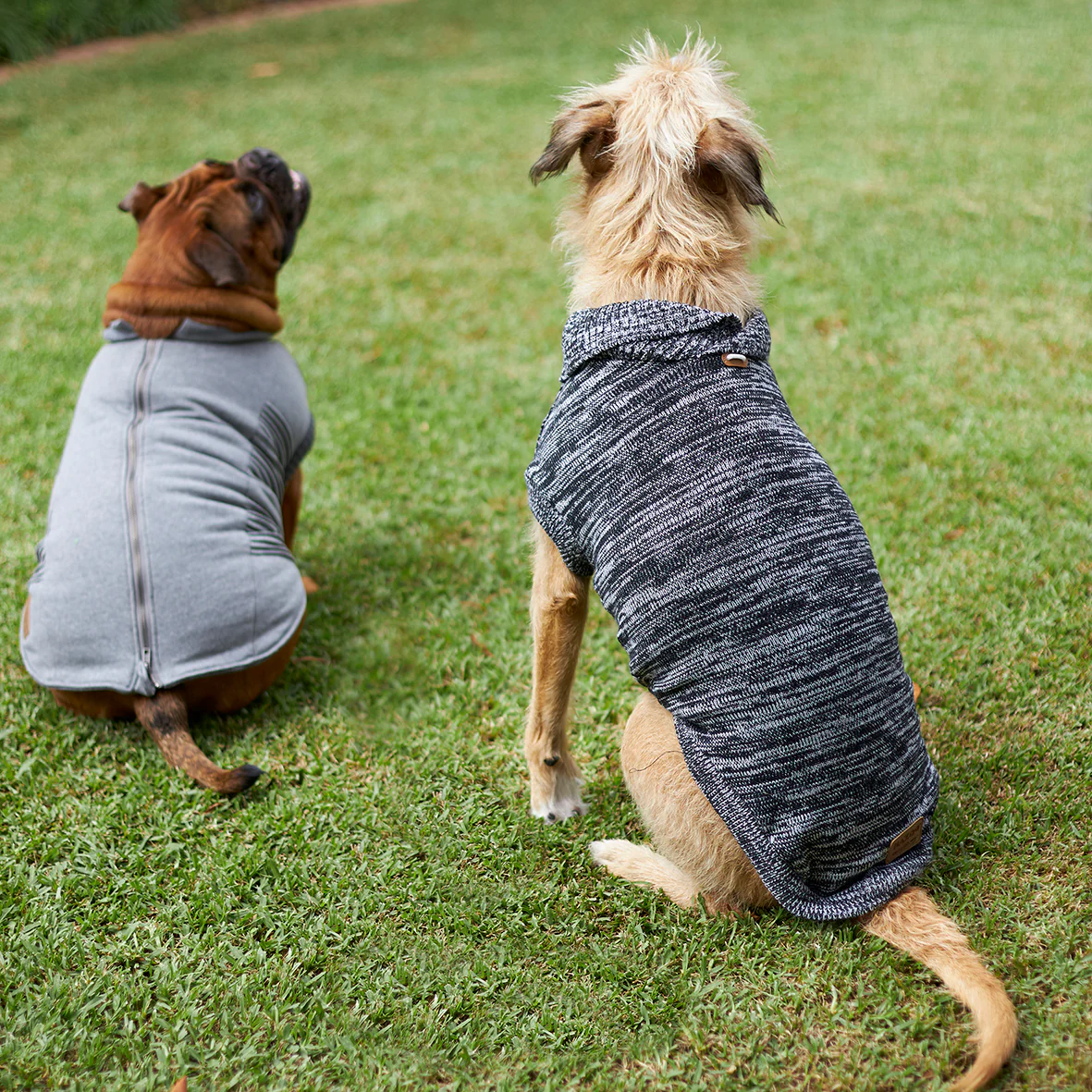 Stormy Skies Roll Neck Dog Jumper - Image 13
