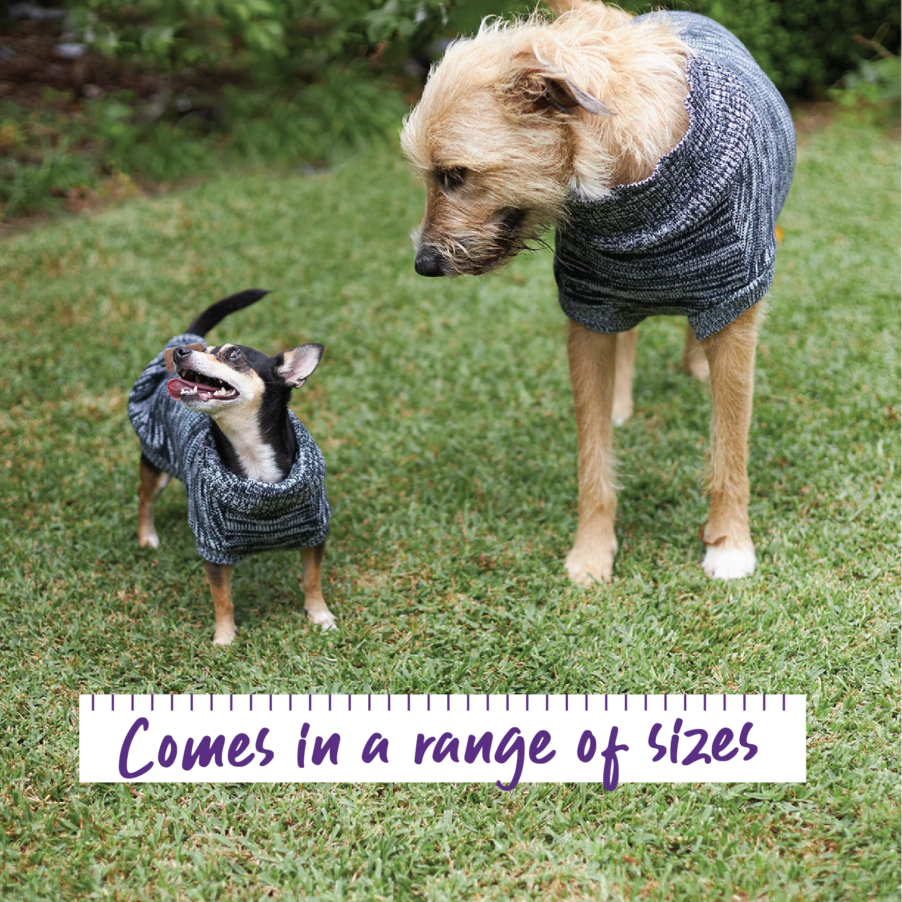 Stormy Skies Roll Neck Dog Jumper - Image 3