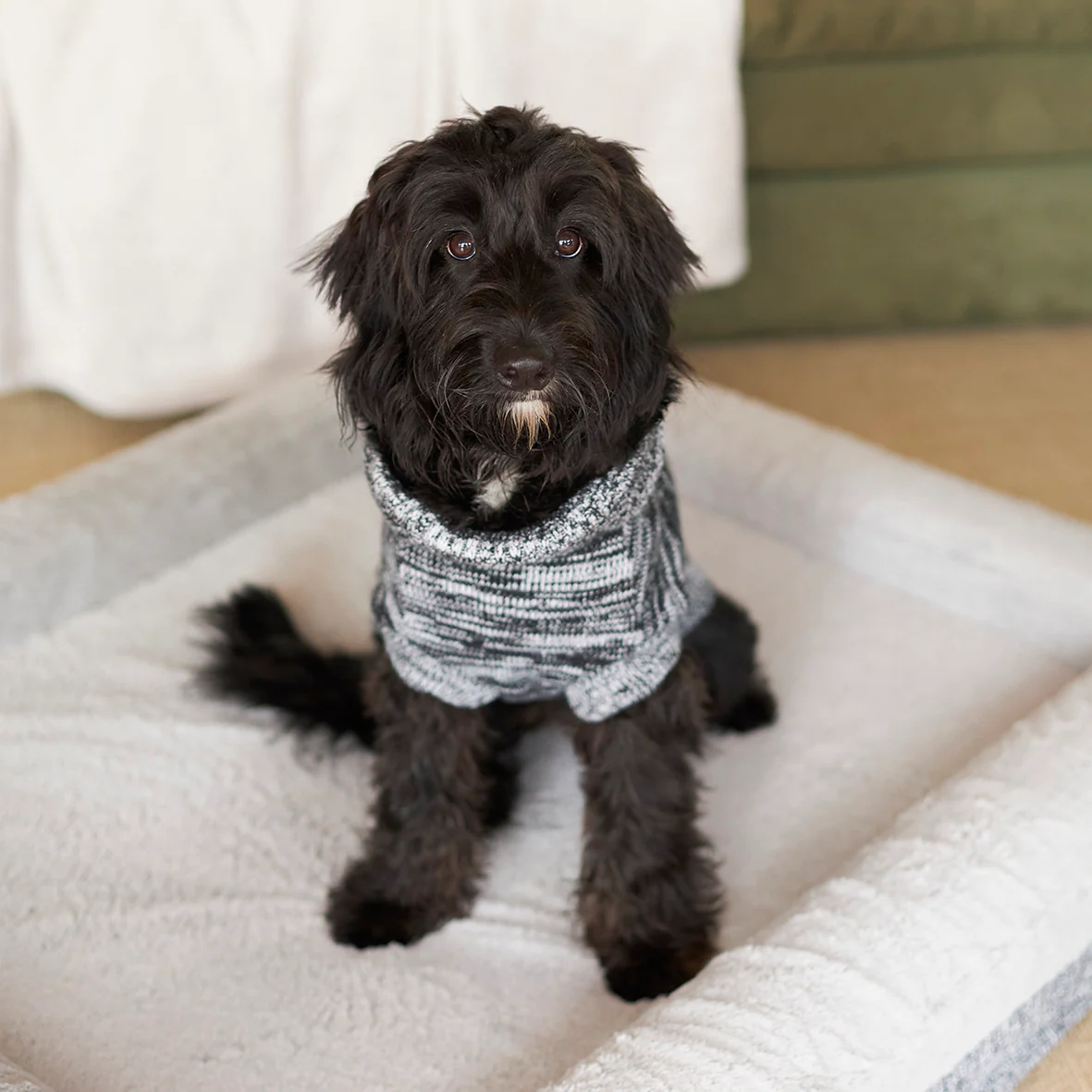 Stormy Skies Roll Neck Dog Jumper - Image 6