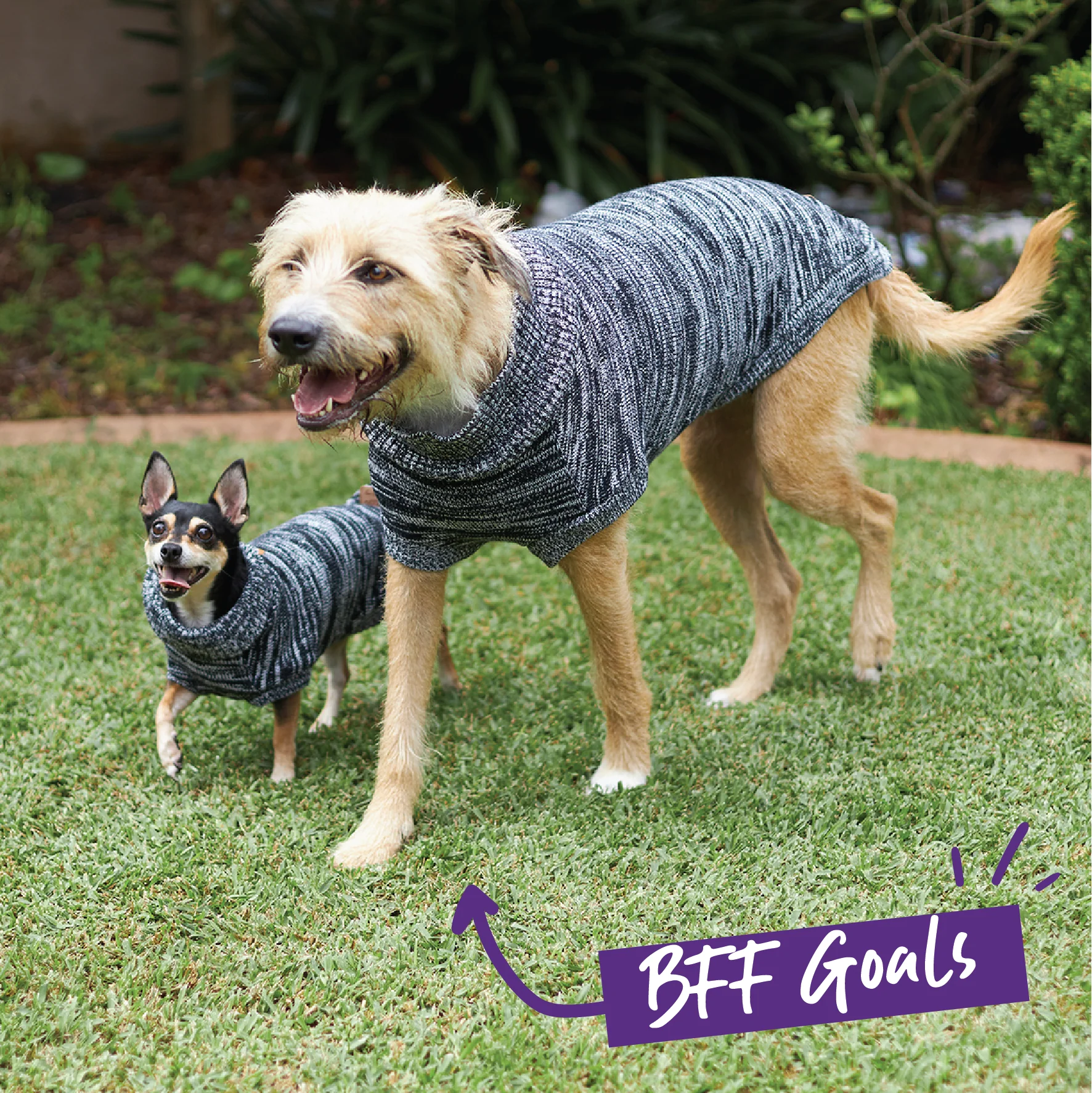 Stormy Skies Roll Neck Dog Jumper - Image 7