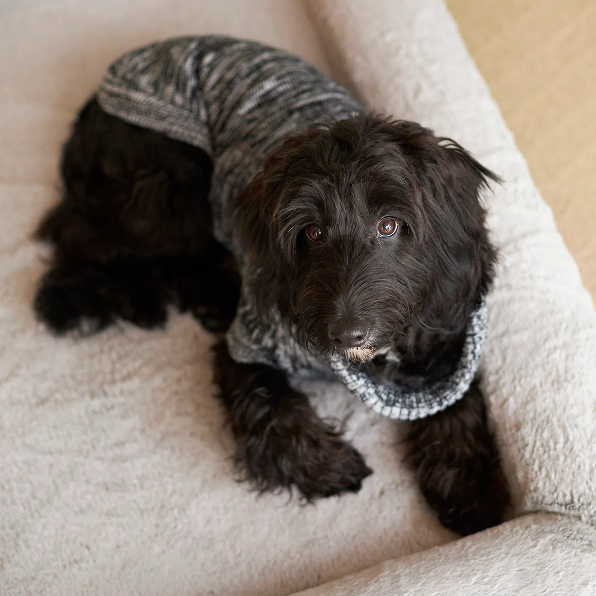 Stormy Skies Roll Neck Dog Jumper - Image 9