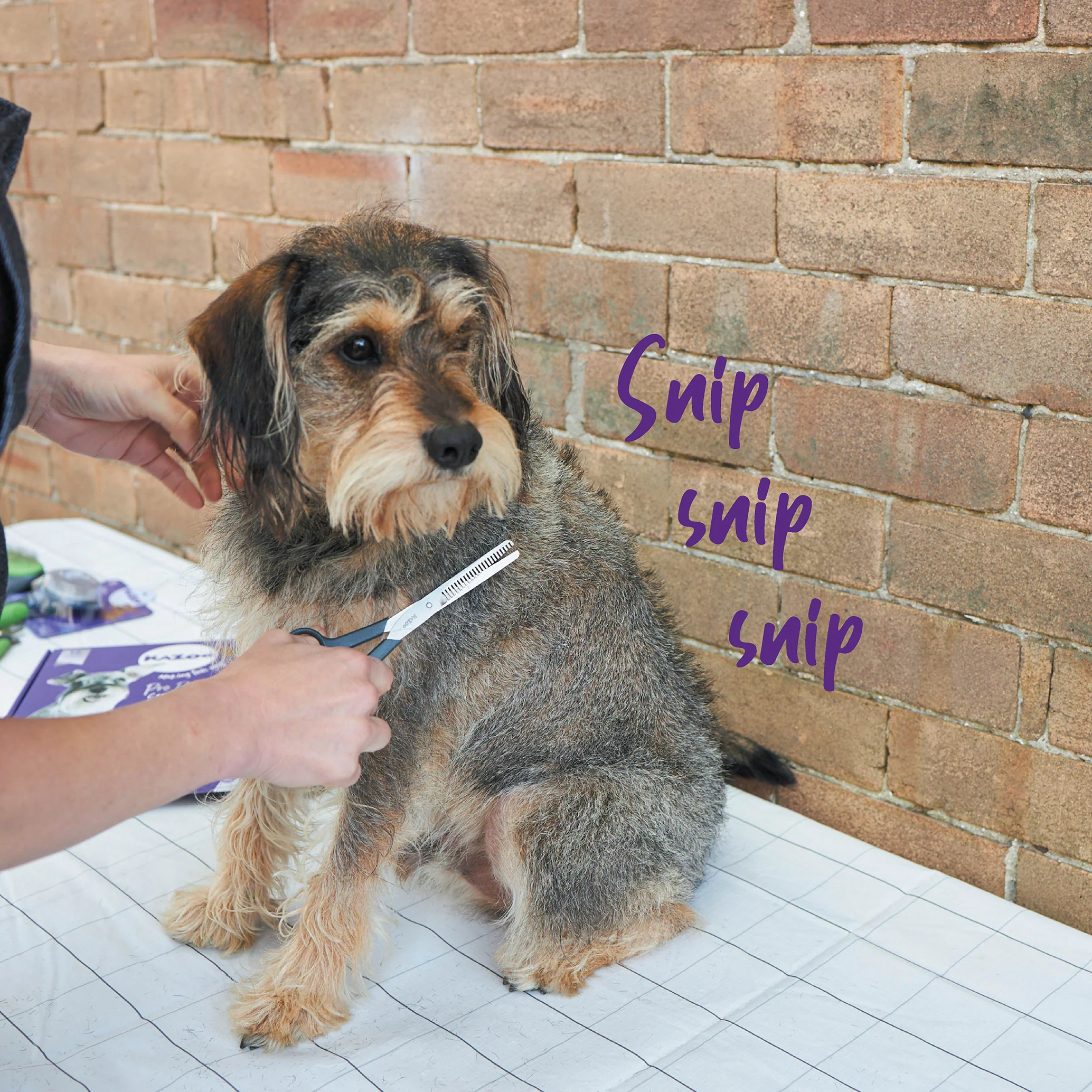 Thinning Scissors - Image 6