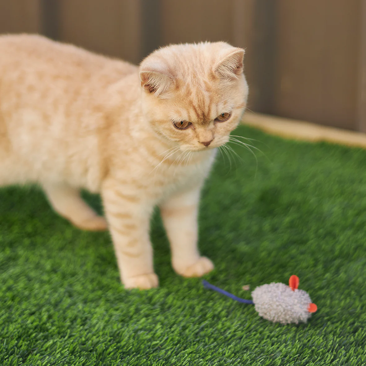 Thrice the Mice with catnip - Image 3