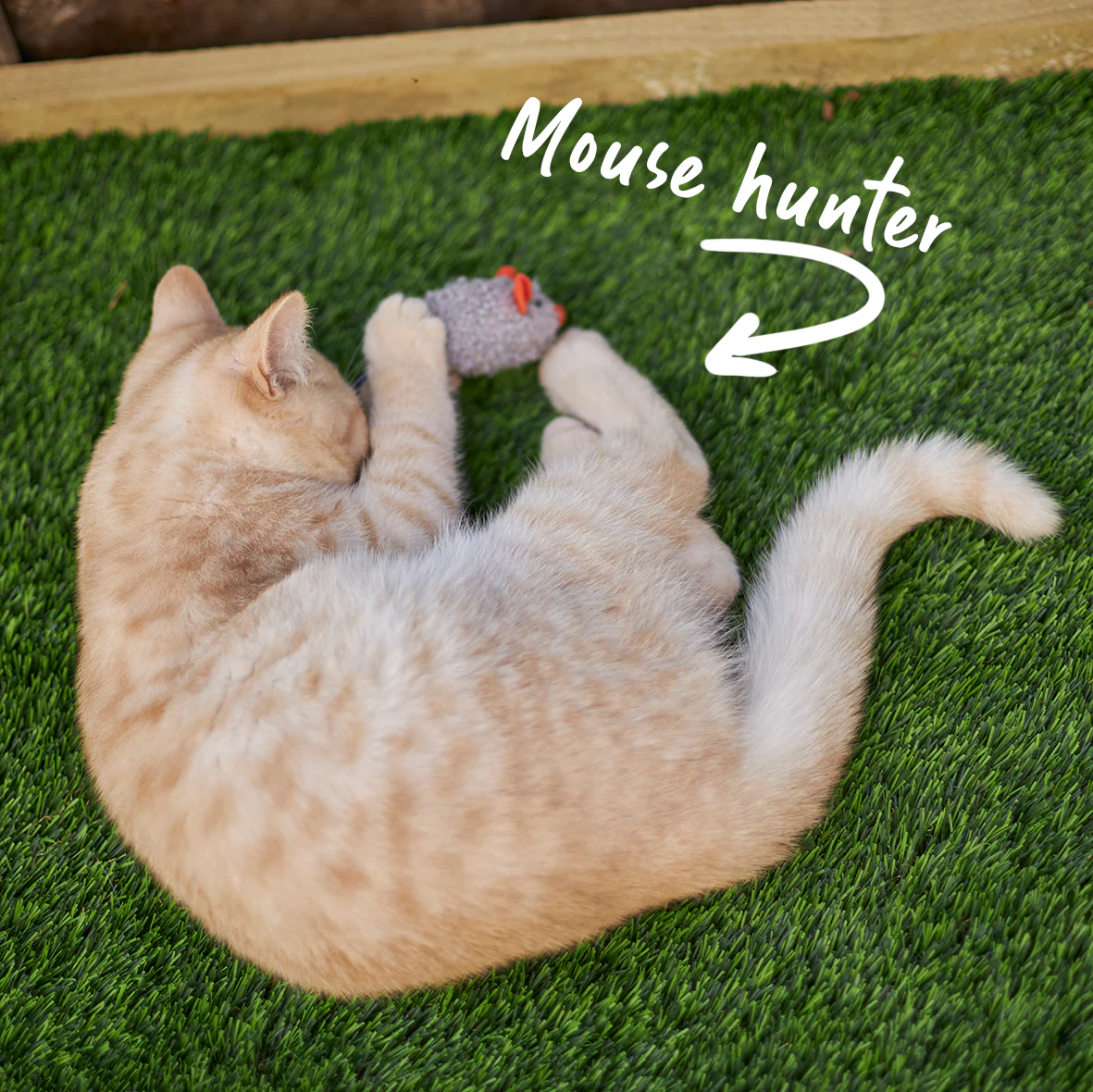 Thrice the Mice with catnip - Image 6