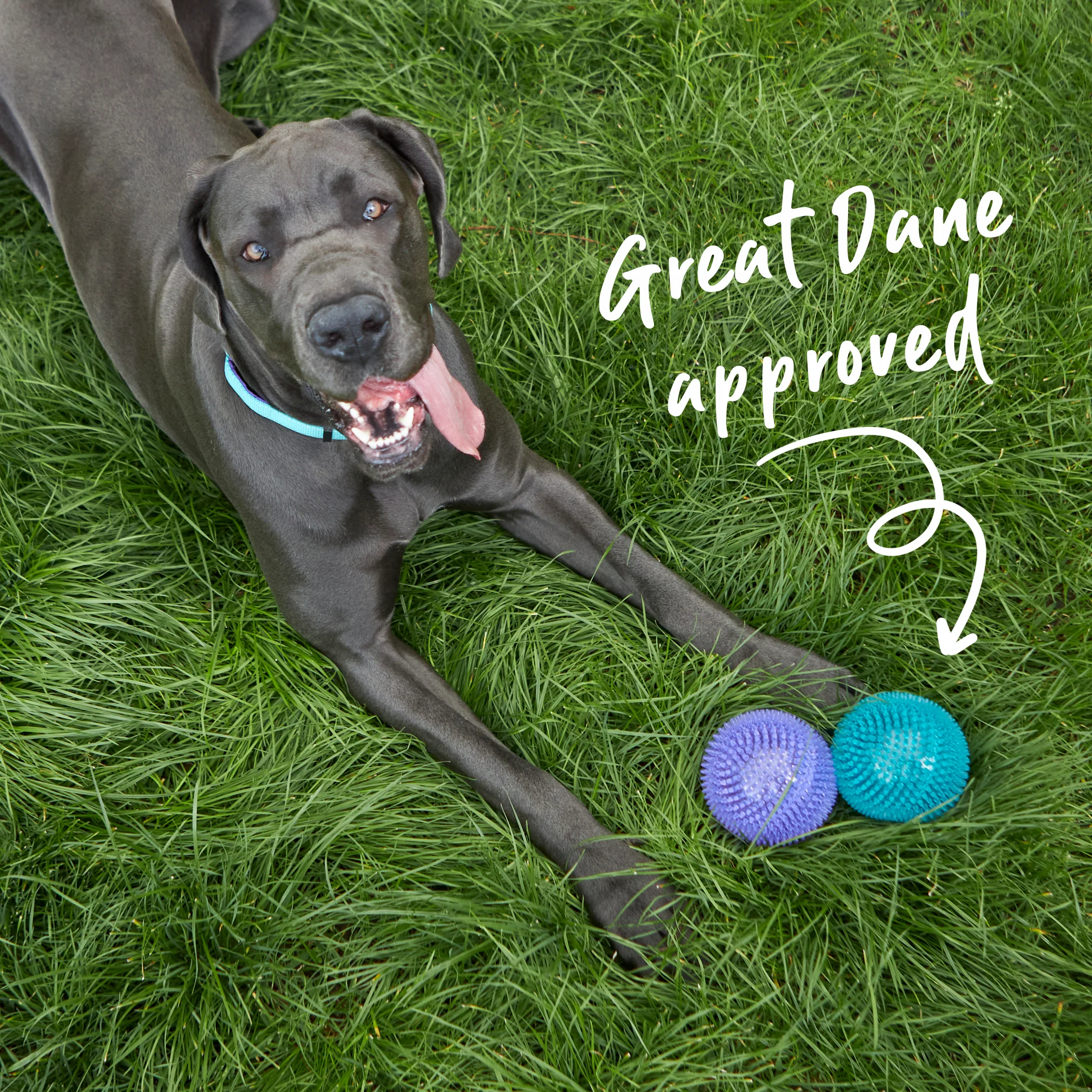 Tough Chewing Space Balls - Large Dog Toy - Image 2