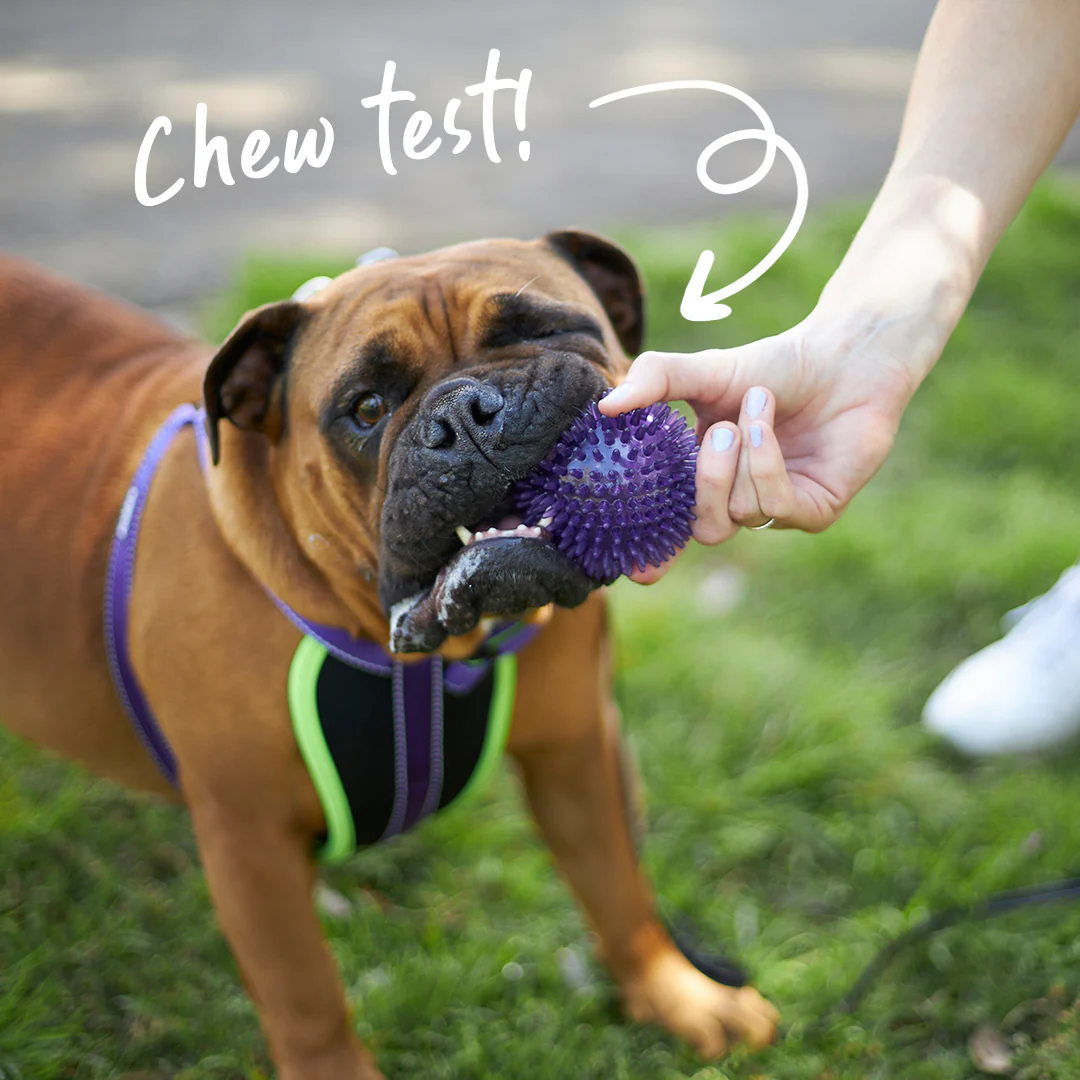 Tough Chewing Space Balls - Medium Dog Toy - Image 10