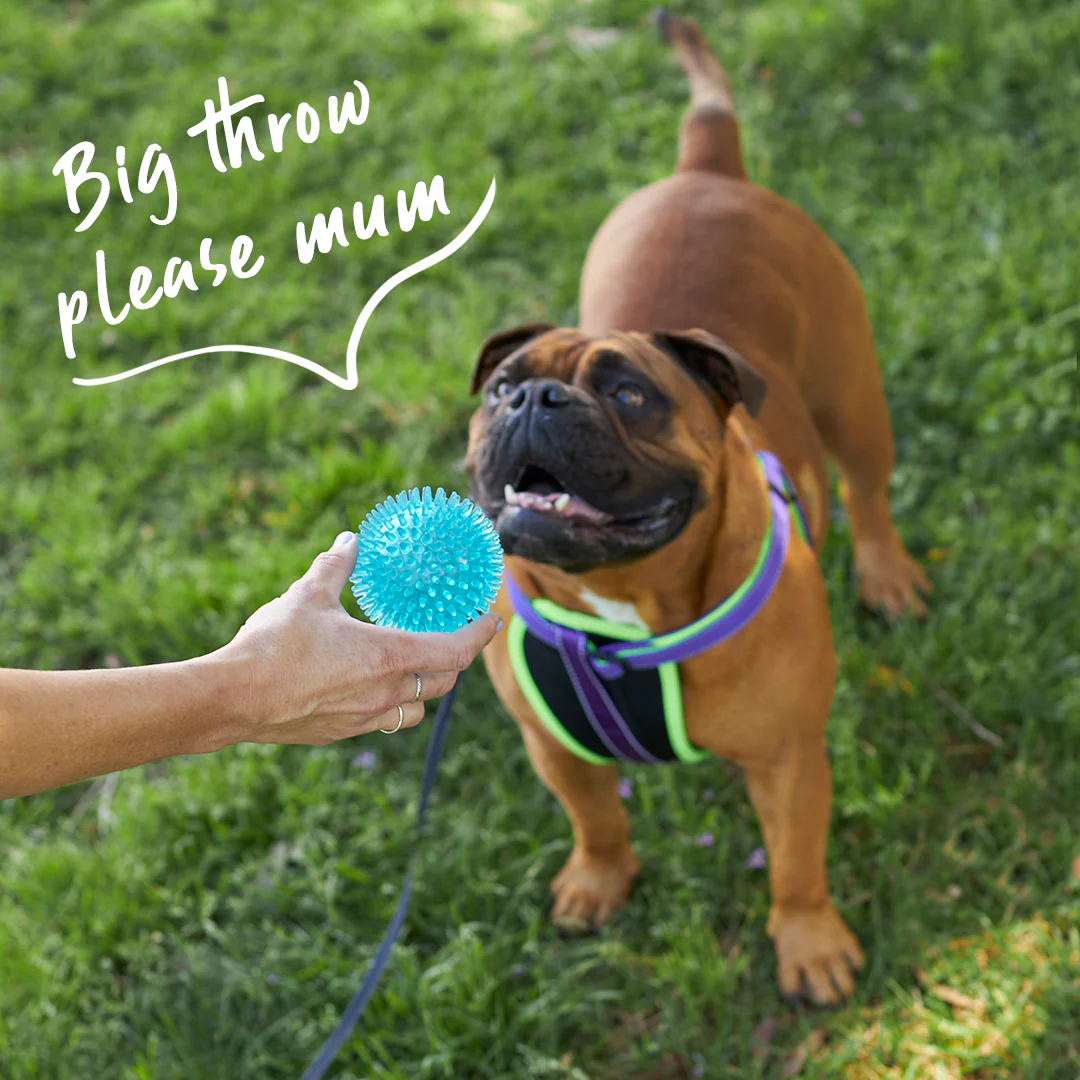 Tough Chewing Space Balls - Medium Dog Toy - Image 3