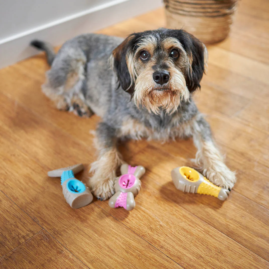 Tough N' Tasty Chew Bone - Bacon - Image 4