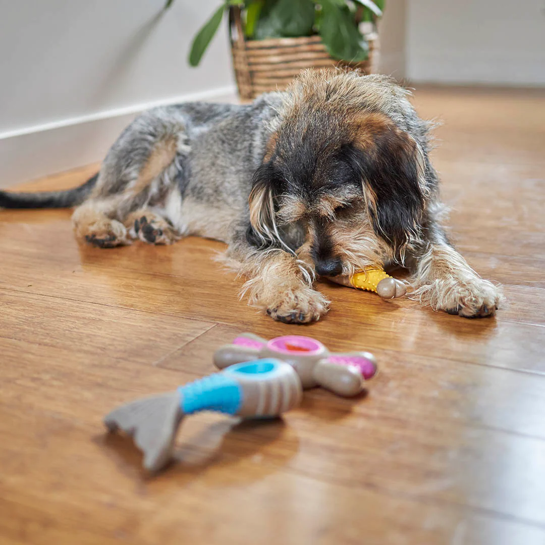 Tough N' Tasty Chew Bone - Bacon - Image 5